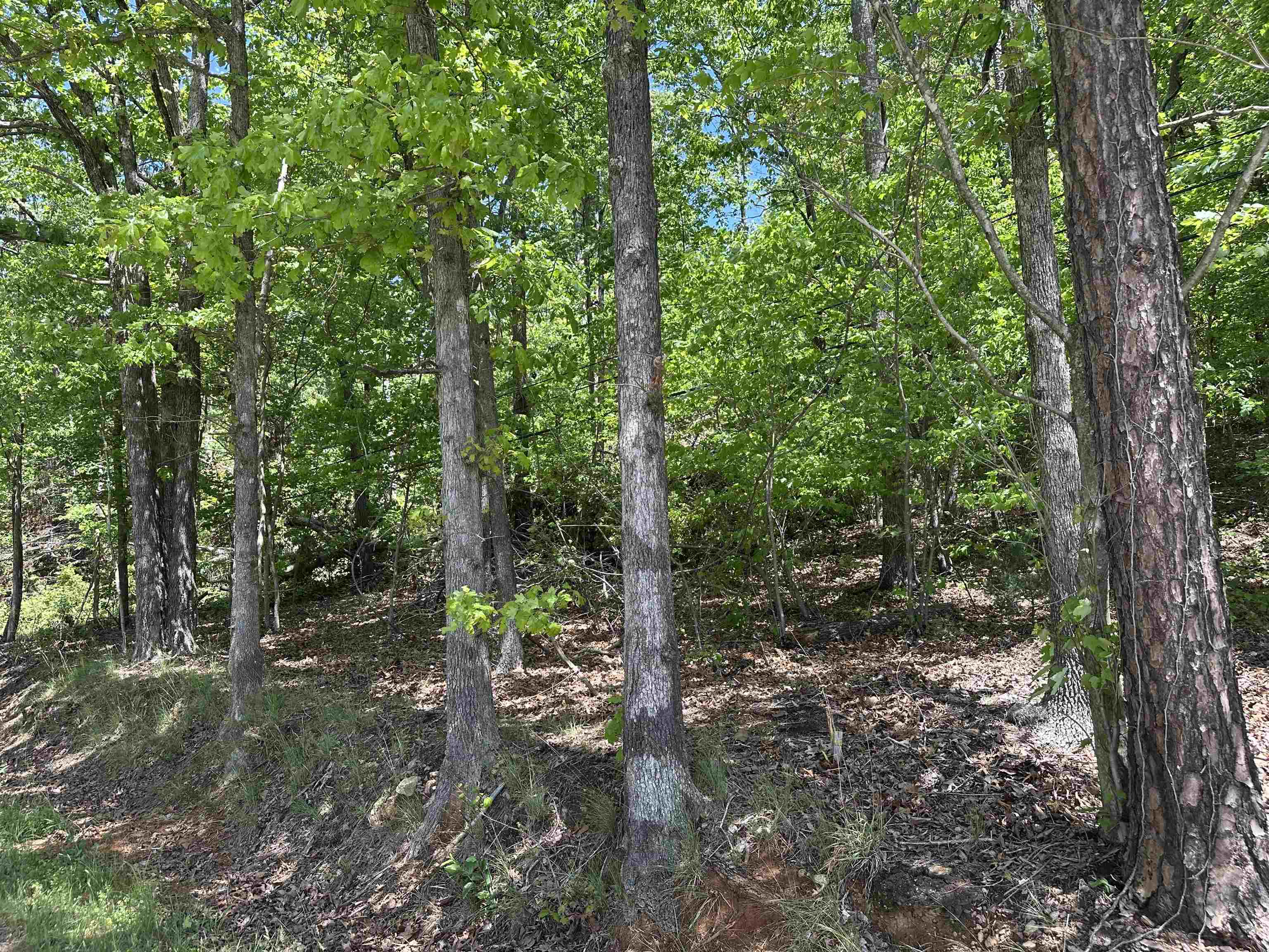 1741 Old Pacolet Road, Spartanburg, South Carolina image 4