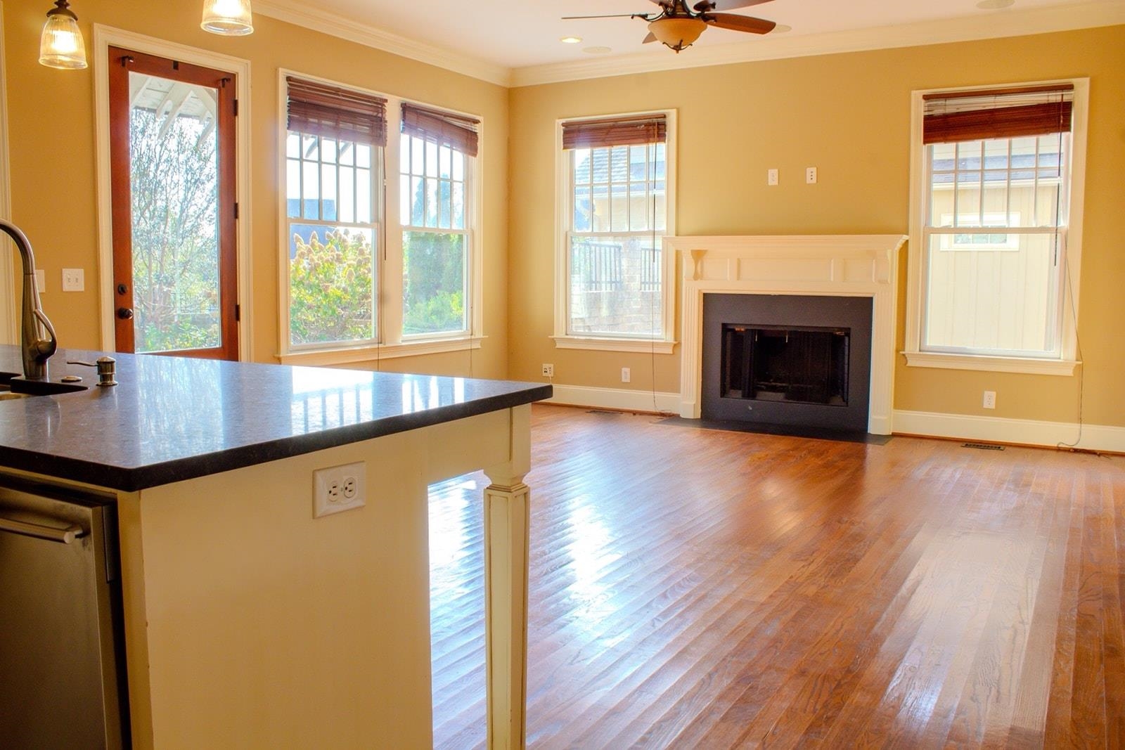 231 Austin Brook Street, Simpsonville, South Carolina image 13