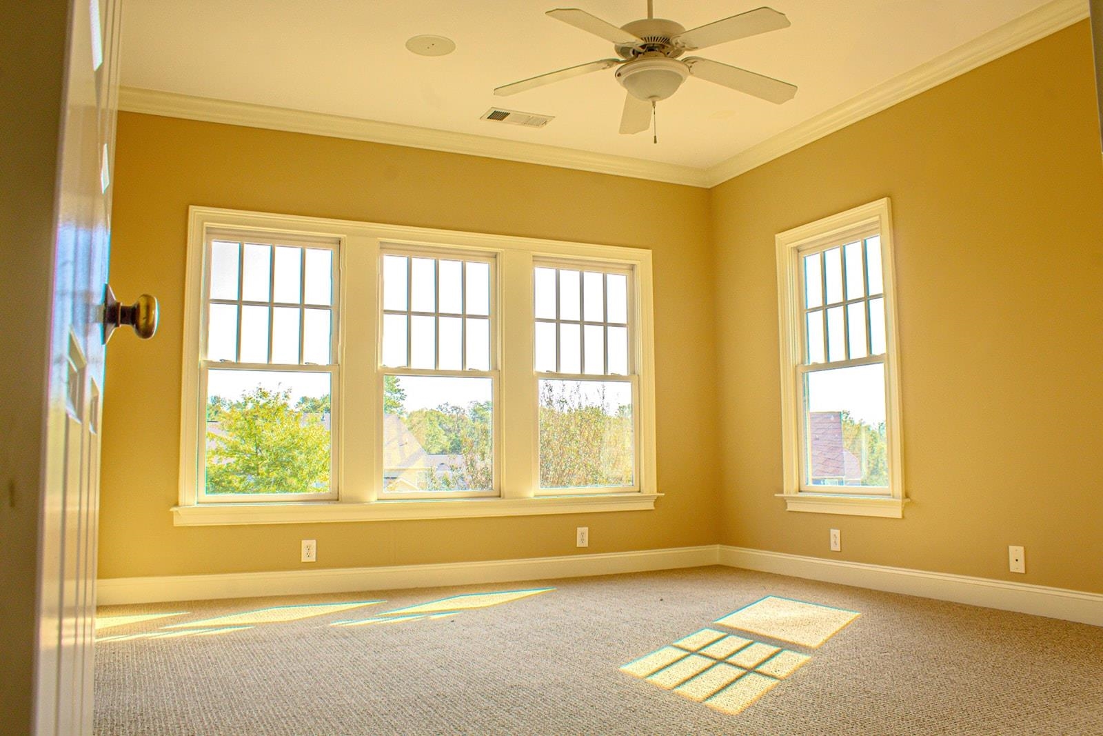 231 Austin Brook Street, Simpsonville, South Carolina image 23