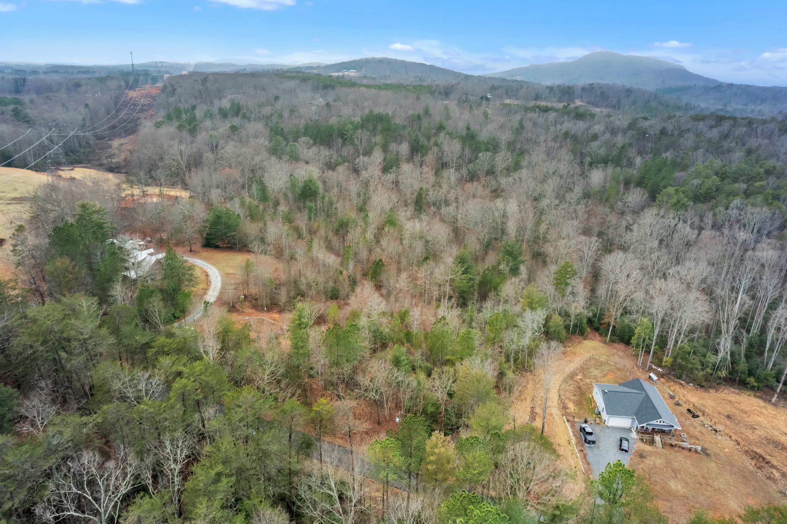Arledge Road, Landrum, South Carolina image 7