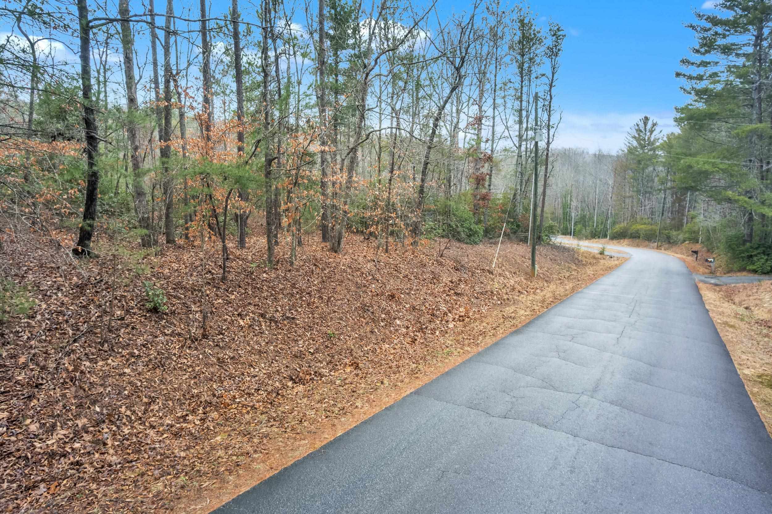 Arledge Road, Landrum, South Carolina image 2