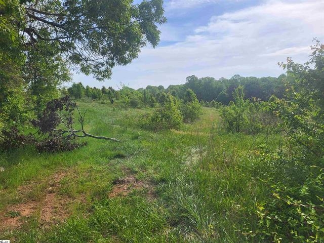 00 Babb Road, Greer, South Carolina image 5