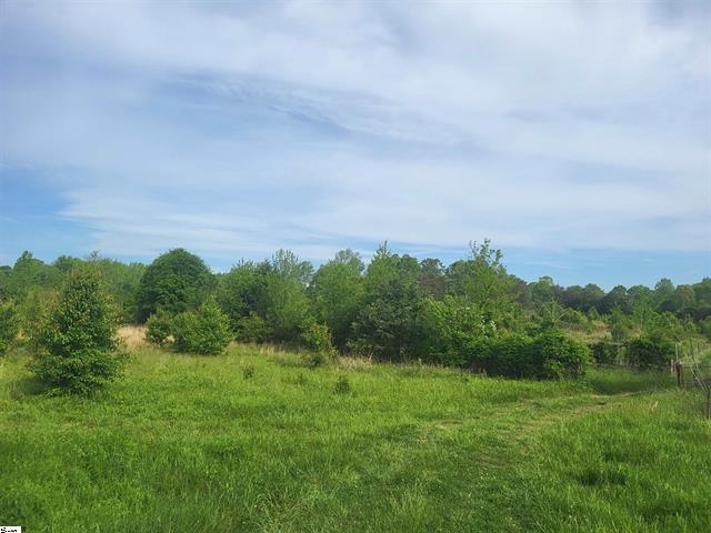 00 Babb Road, Greer, South Carolina image 8