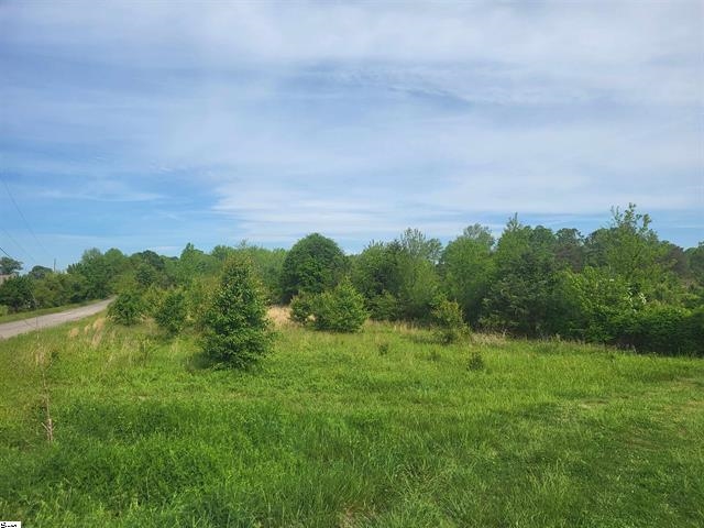 00 Babb Road, Greer, South Carolina image 2