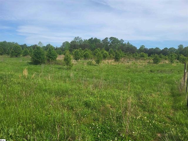 00 Babb Road, Greer, South Carolina image 6
