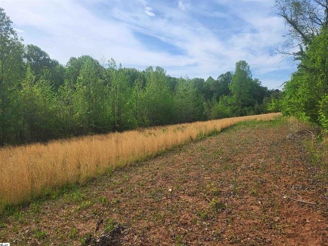 00 Babb Road, Greer, South Carolina image 4