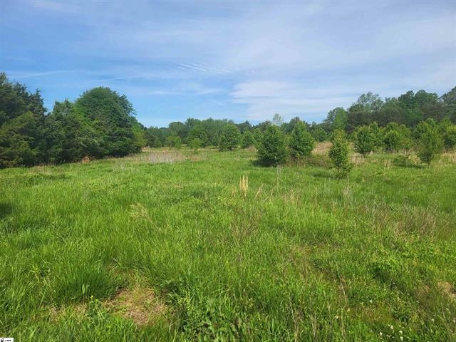 00 Babb Road, Greer, South Carolina image 7
