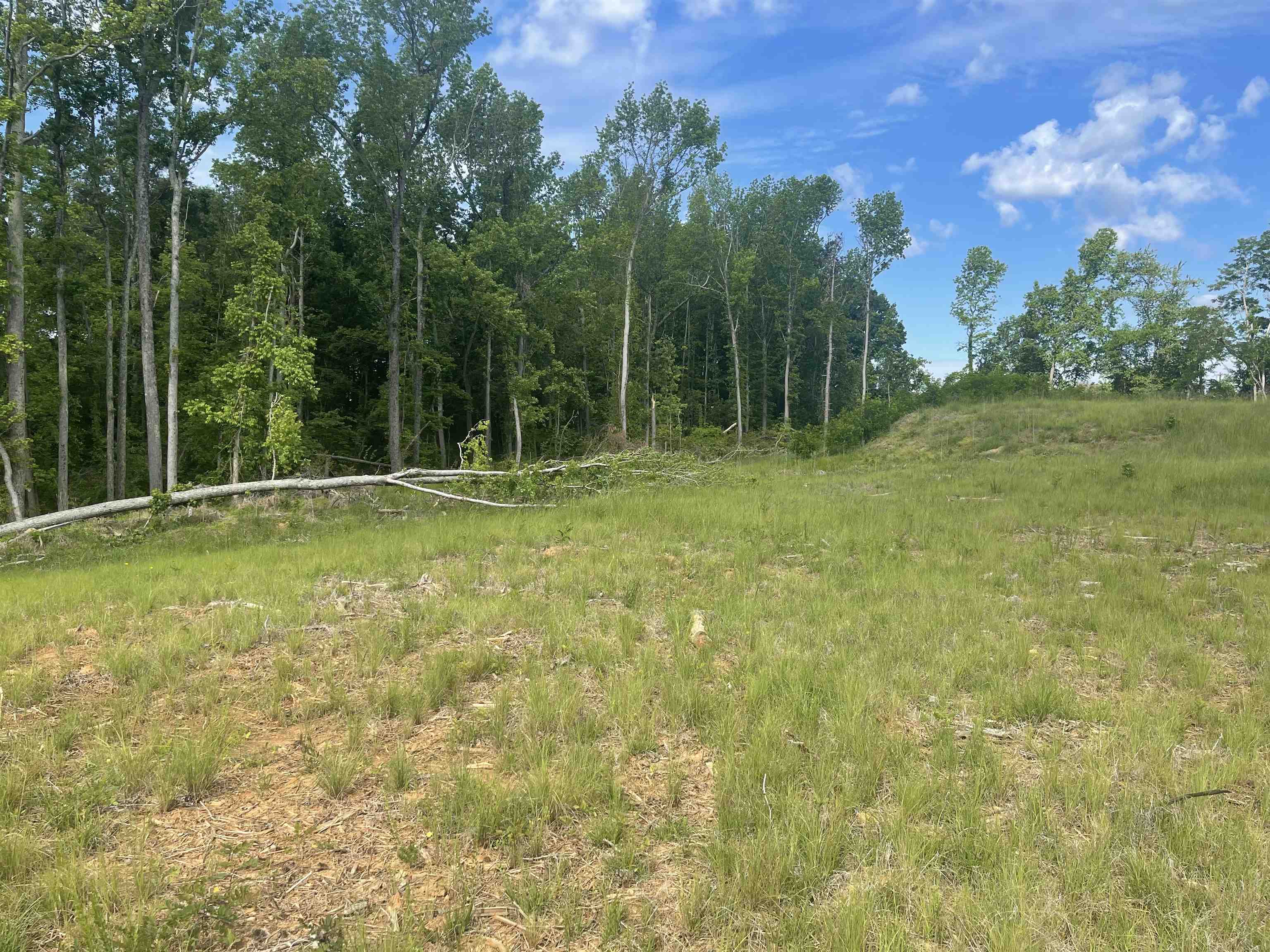Stan Perkins Rd., Spartanburg, South Carolina image 7