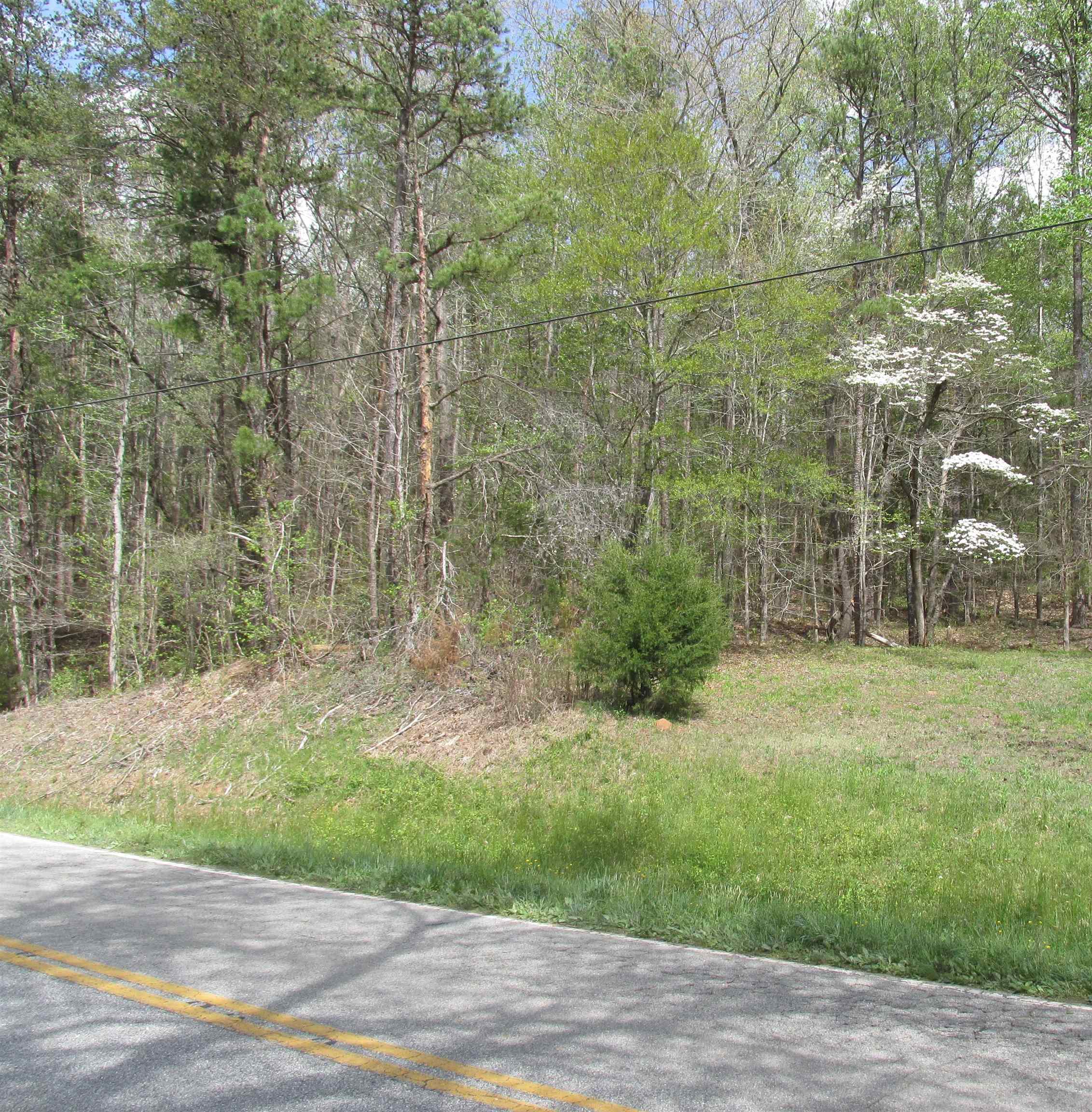 White Plains Road, Gaffney, South Carolina image 3