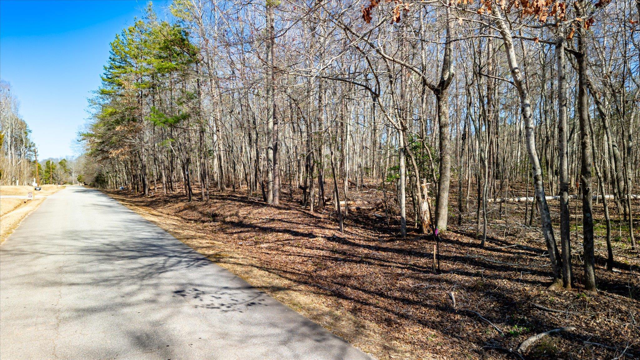 Lot 4 Broken Arrow Drive, Pelzer, South Carolina image 4