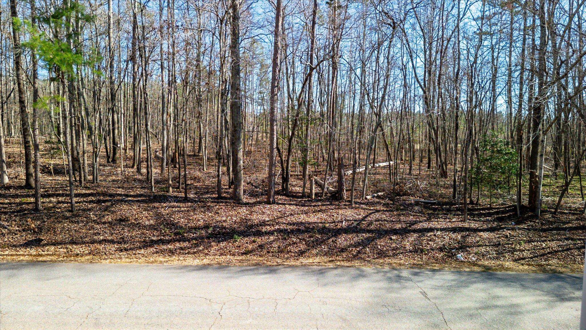 Lot 4 Broken Arrow Drive, Pelzer, South Carolina image 5