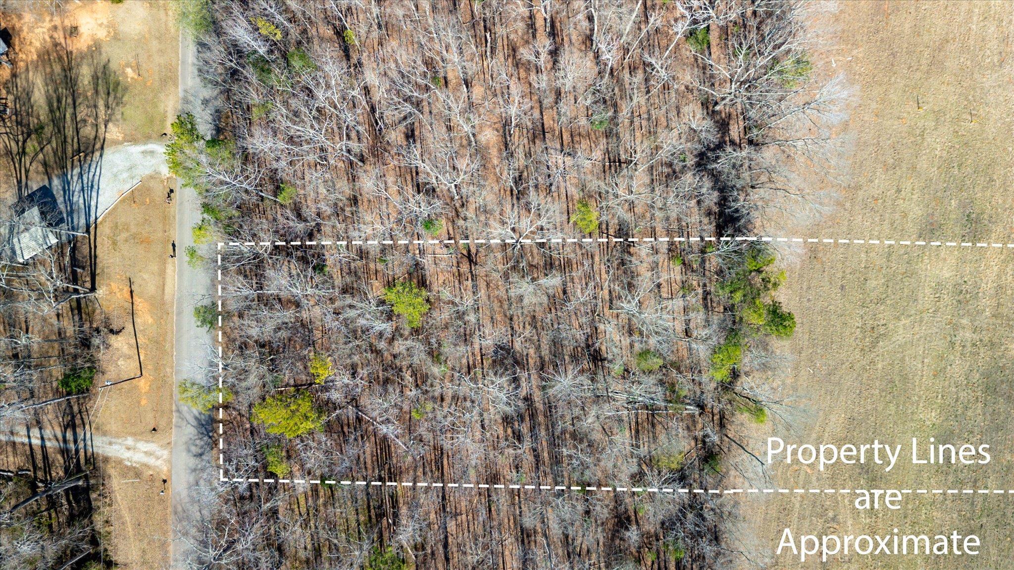 Lot 4 Broken Arrow Drive, Pelzer, South Carolina image 2