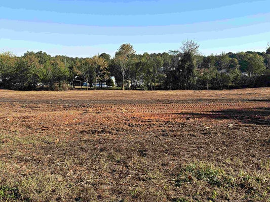 TBD LOT 3 HAMRICK STREET, GAFFNEY, SC 29340 - Image b0a79aa6d97a0ba01a209df561dde489/523783475