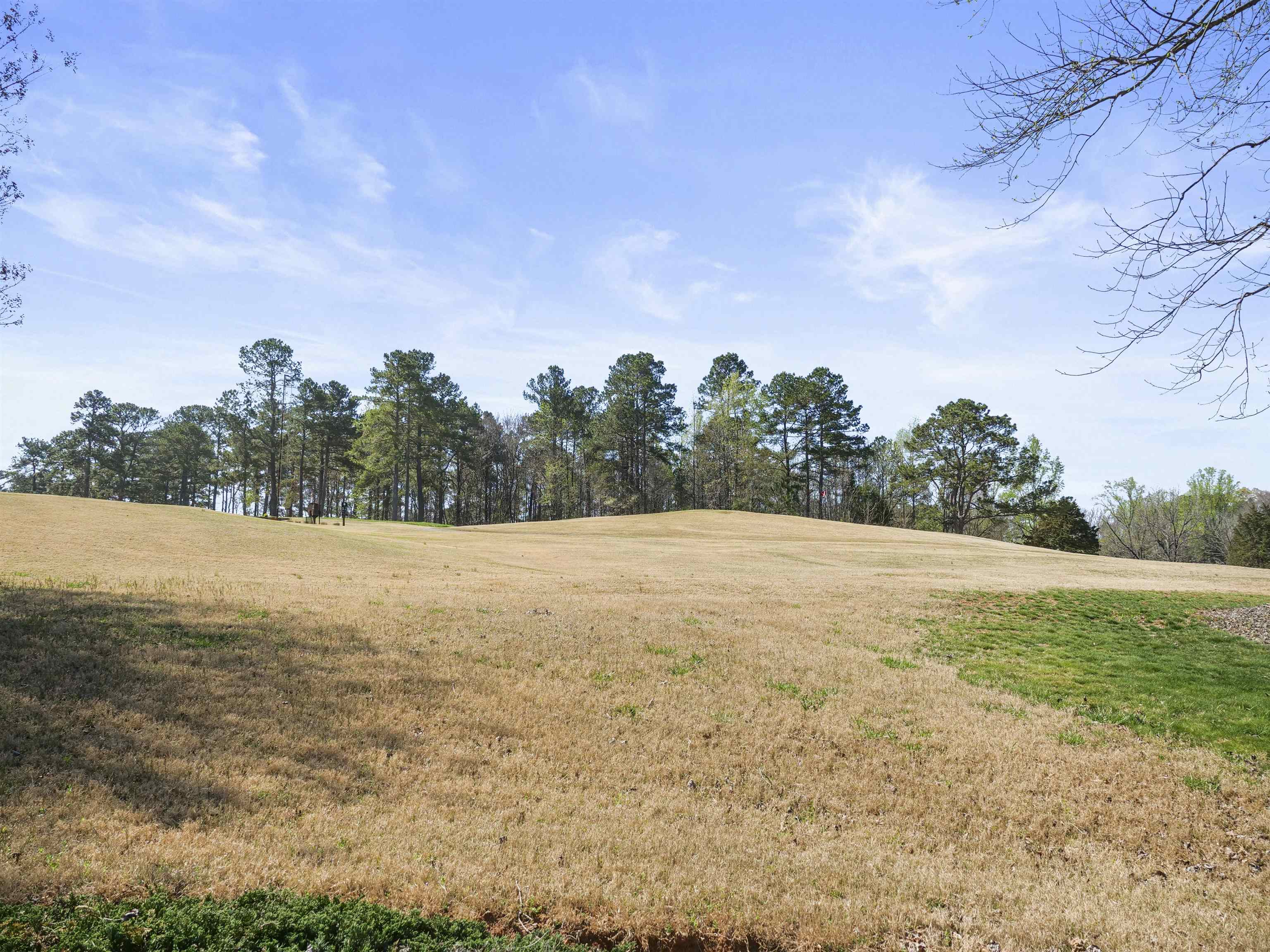 118 Pinewood Drive, Woodruff, South Carolina image 40