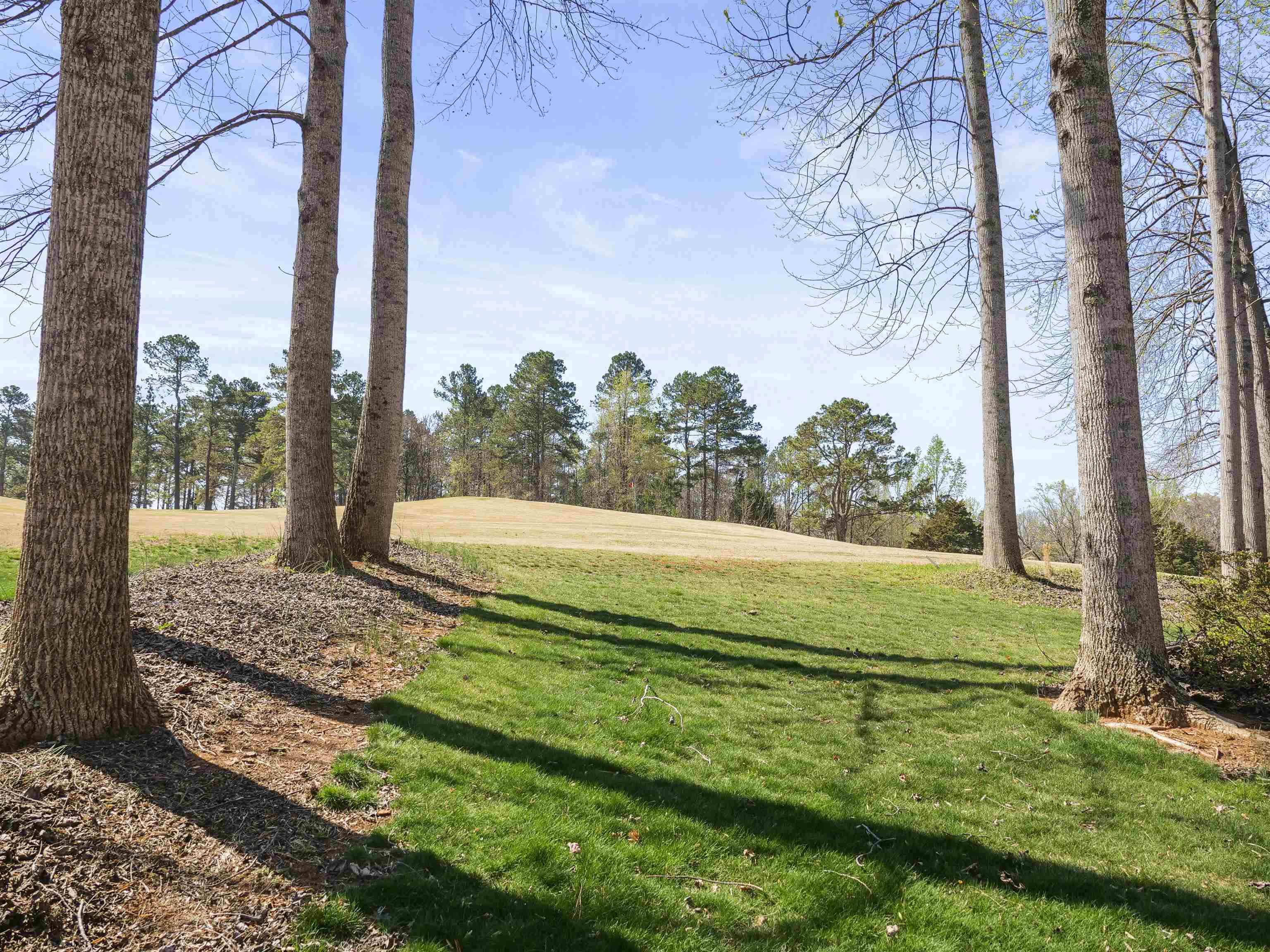 118 Pinewood Drive, Woodruff, South Carolina image 39