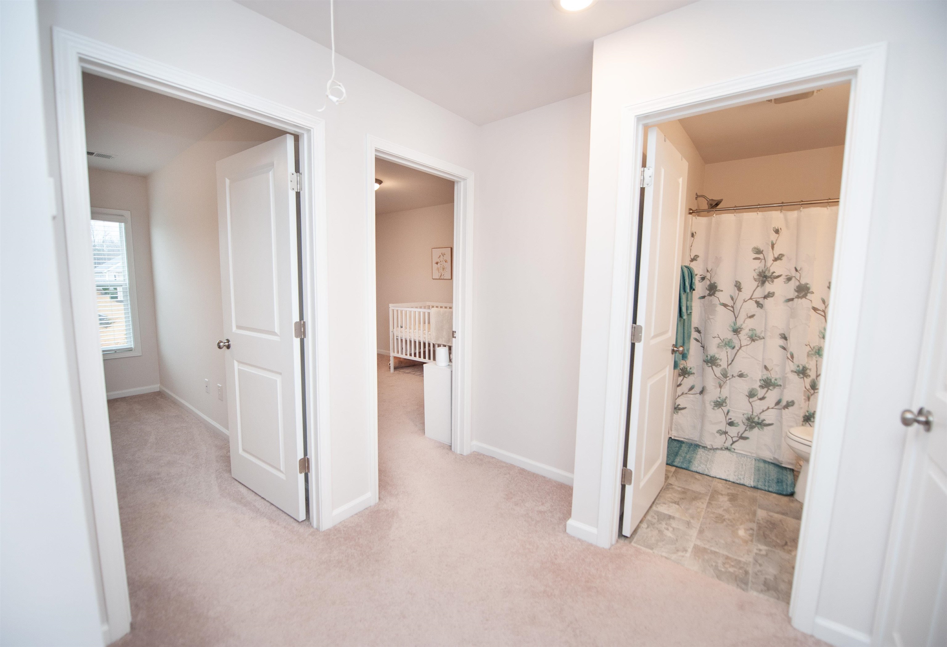 170 Clingstone Trail, Duncan, South Carolina image 25