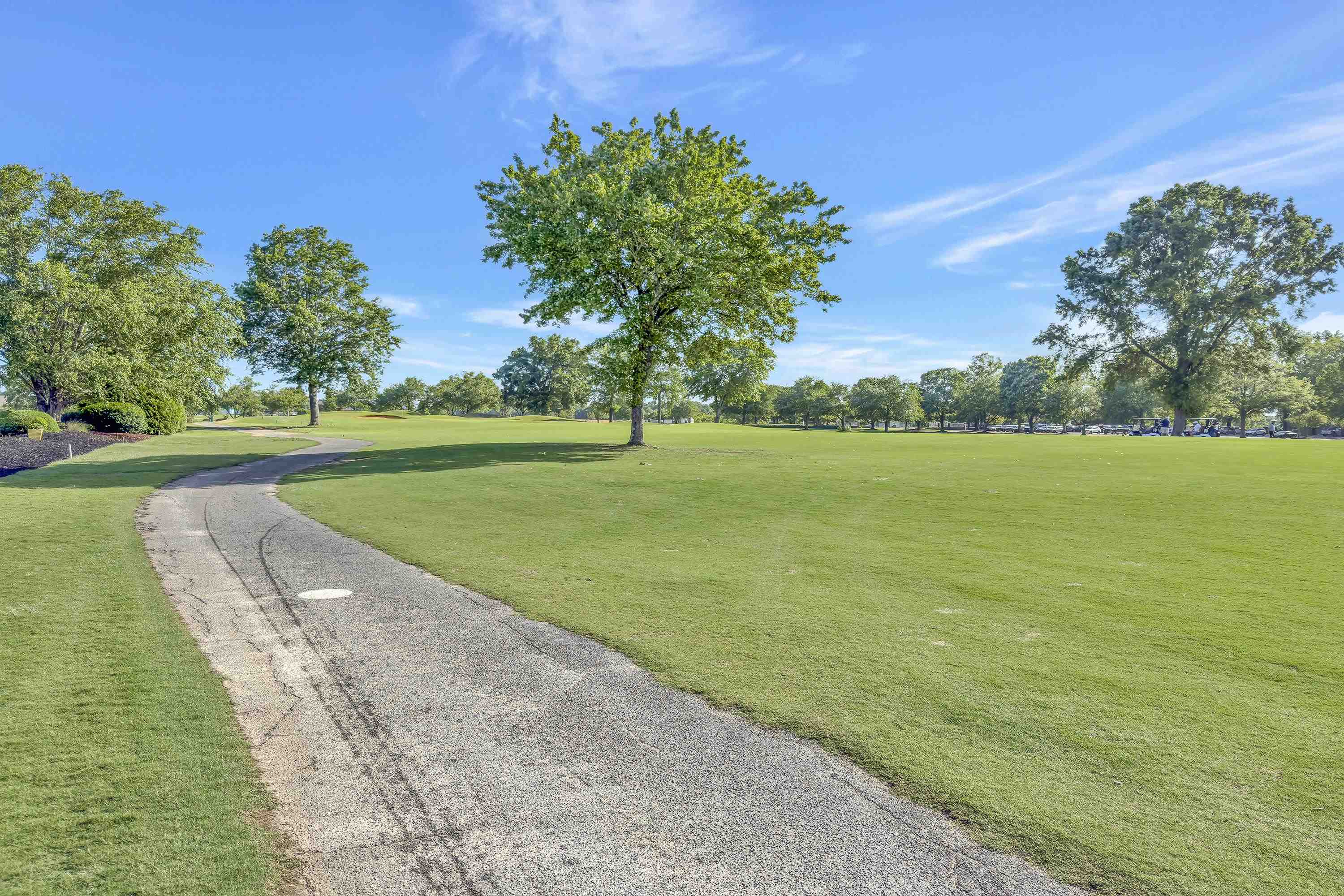 115 Gleneagles Road, Campobello, South Carolina image 32