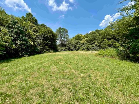 Vacant Land For Sale - 00 Meadow Street<br/> Gaffney, SC 29342