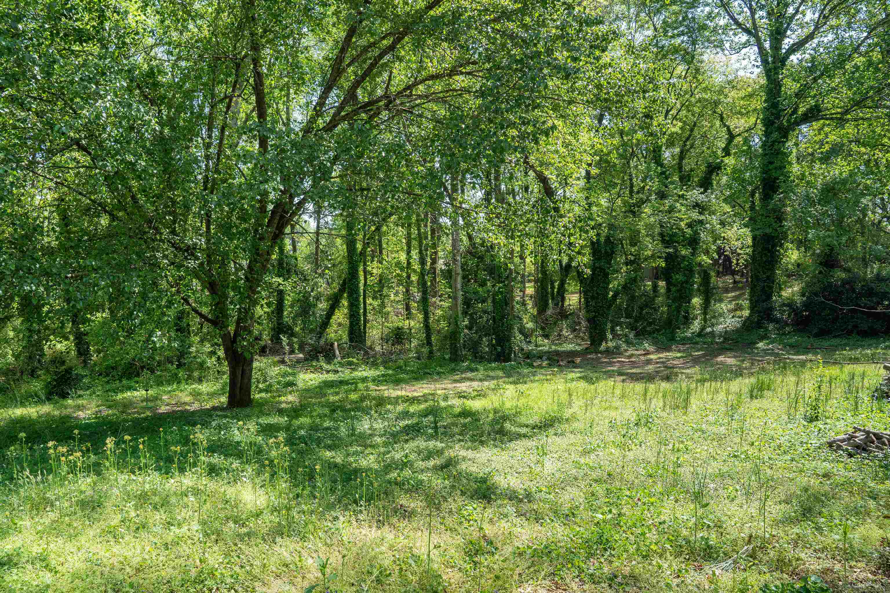102 Cinderridge Drive, Spartanburg, South Carolina image 28
