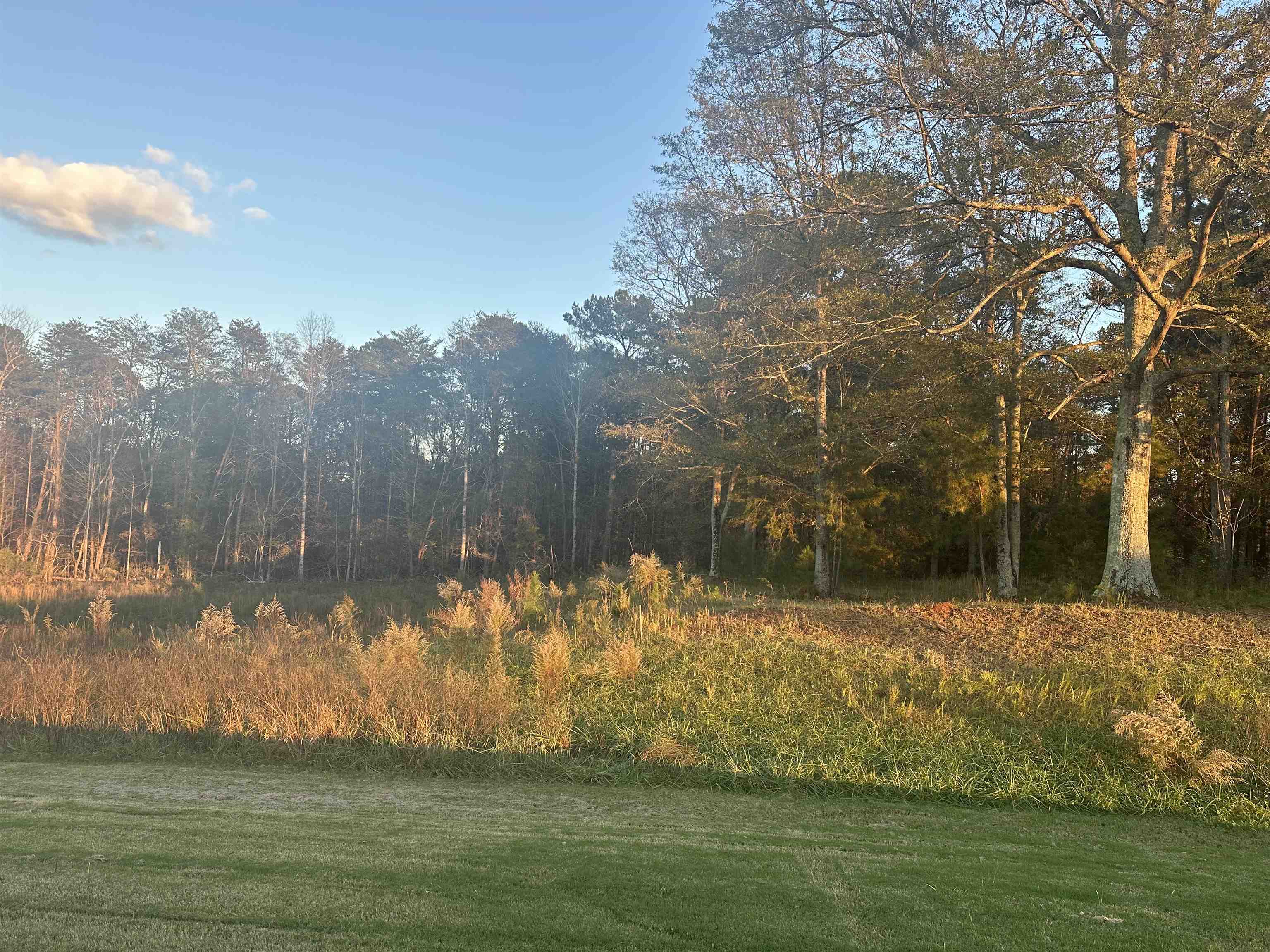 704 Gilgal Lane, Wellford, South Carolina image 37