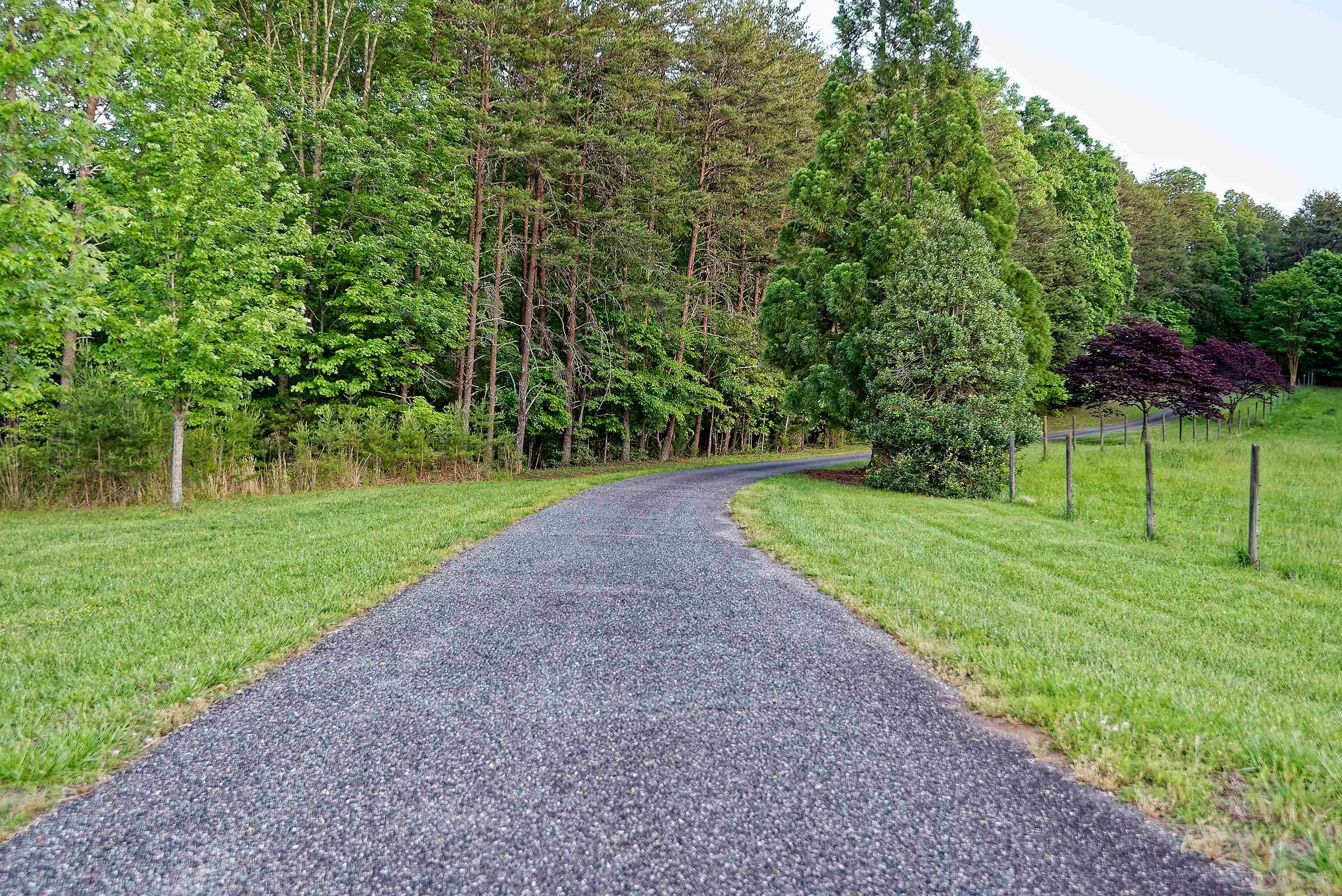 1250 Mountain Creek Road, Rutherfordton, North Carolina image 45