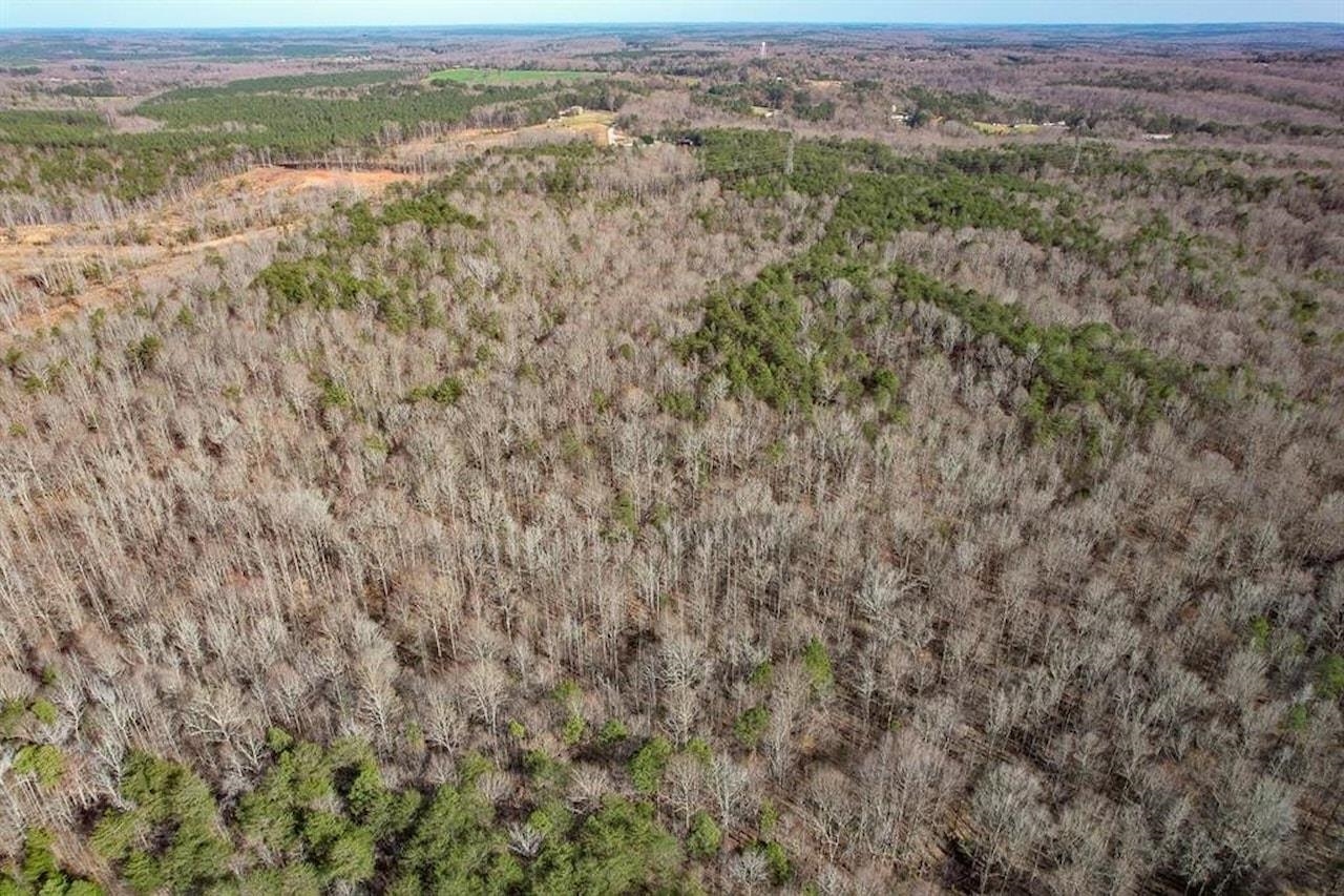 Goucher Green Bethel Road, Gaffney, South Carolina image 14