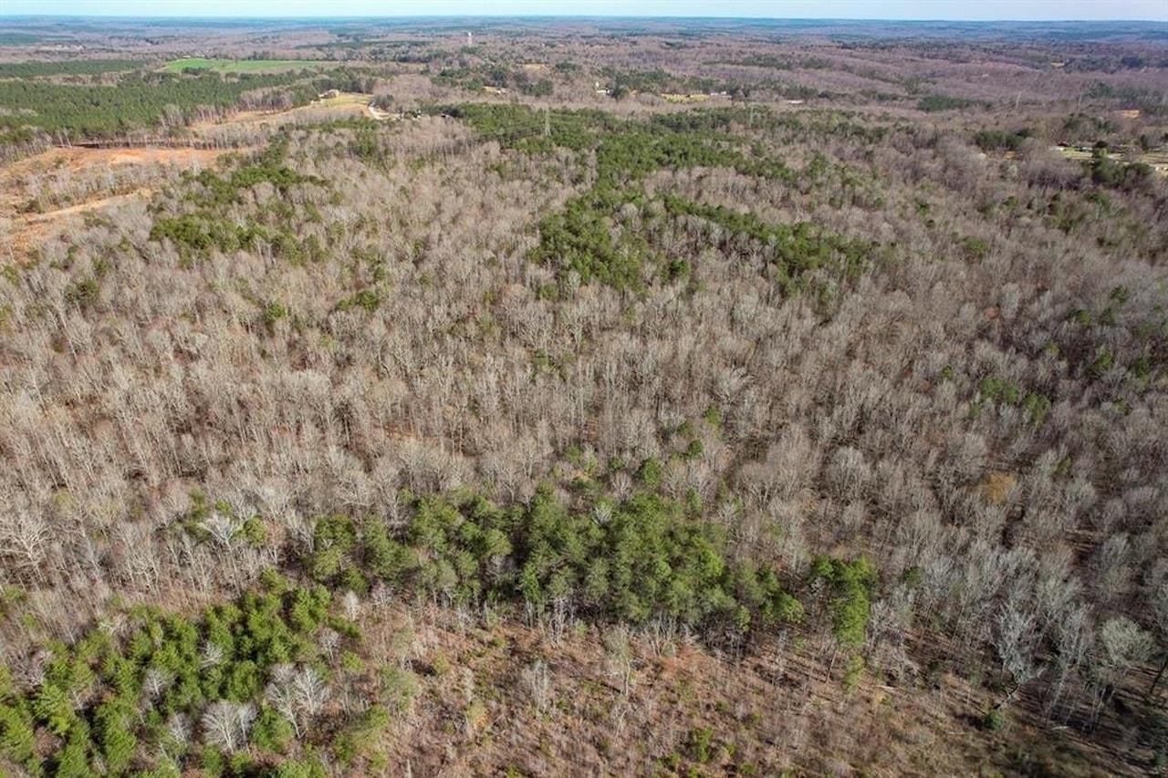 Goucher Green Bethel Road, Gaffney, South Carolina image 15