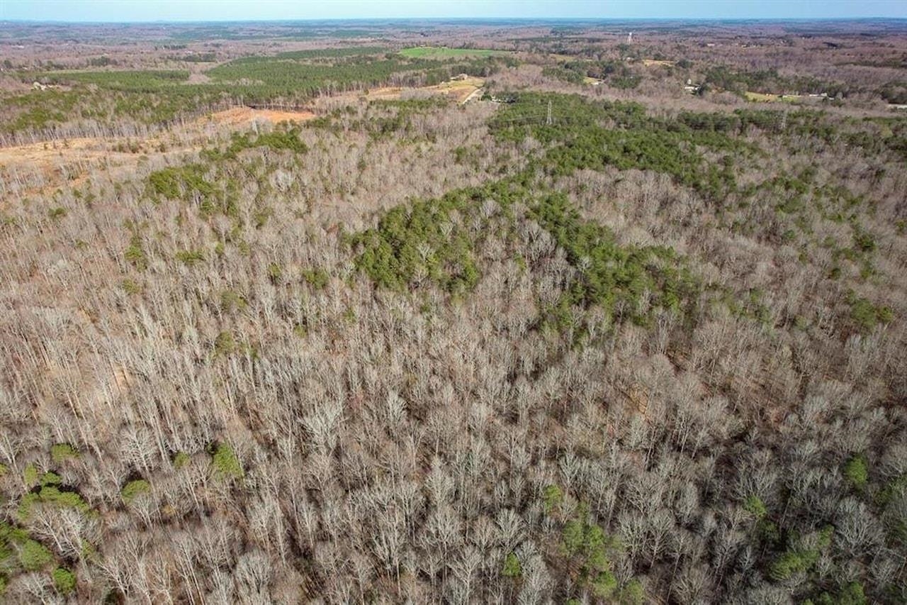 Goucher Green Bethel Road, Gaffney, South Carolina image 13