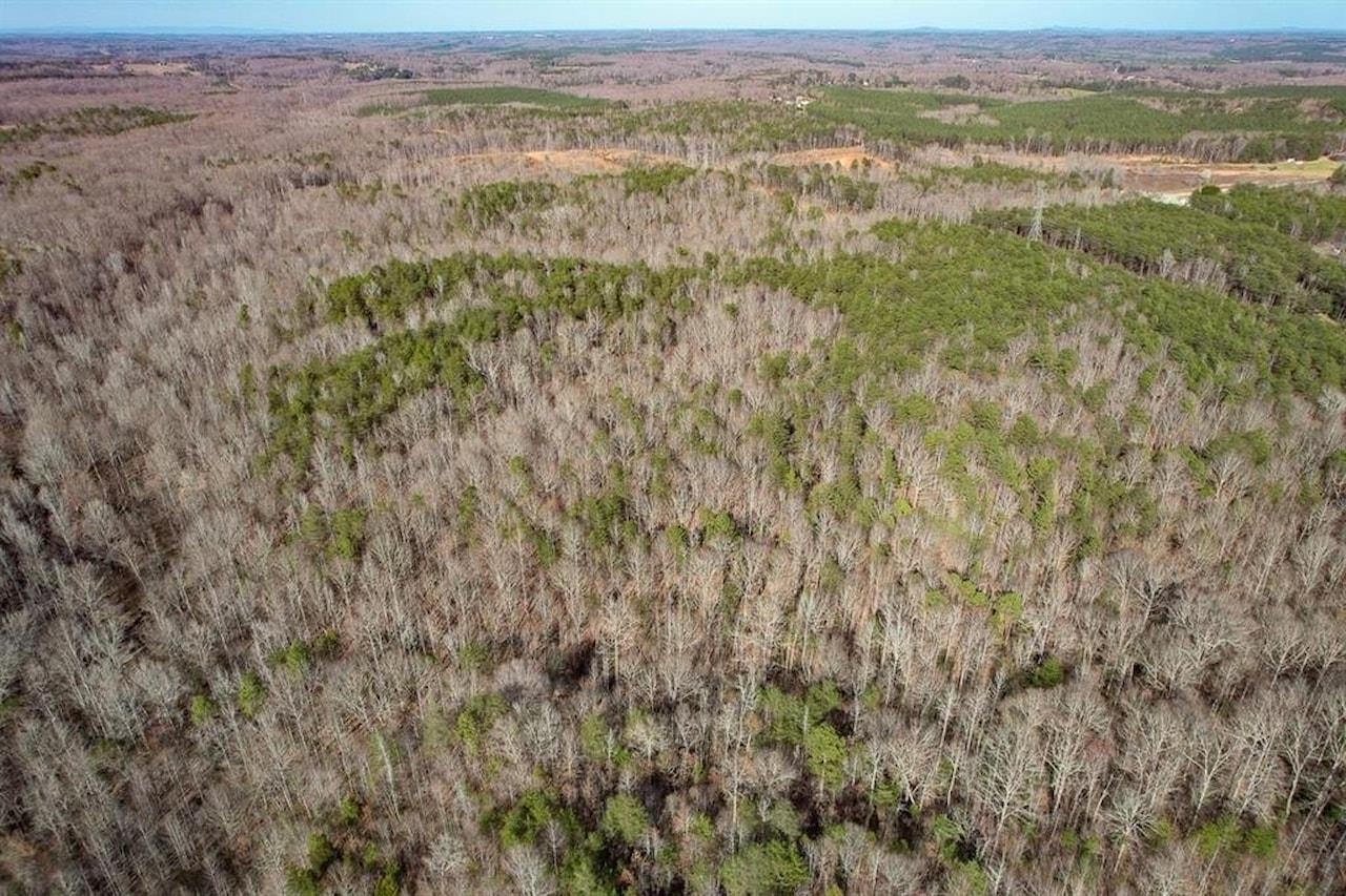 Goucher Green Bethel Road, Gaffney, South Carolina image 7