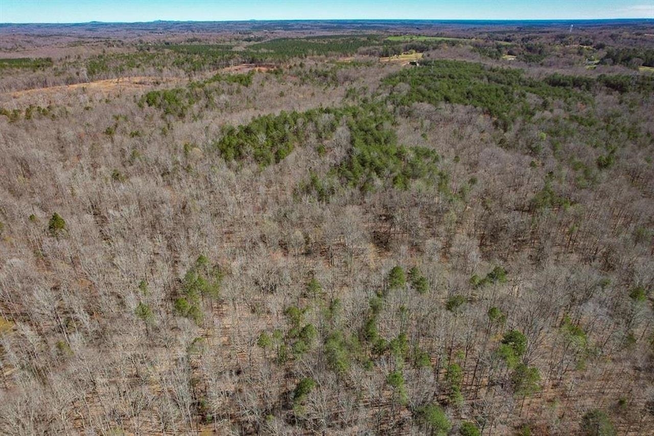 Goucher Green Bethel Road, Gaffney, South Carolina image 34
