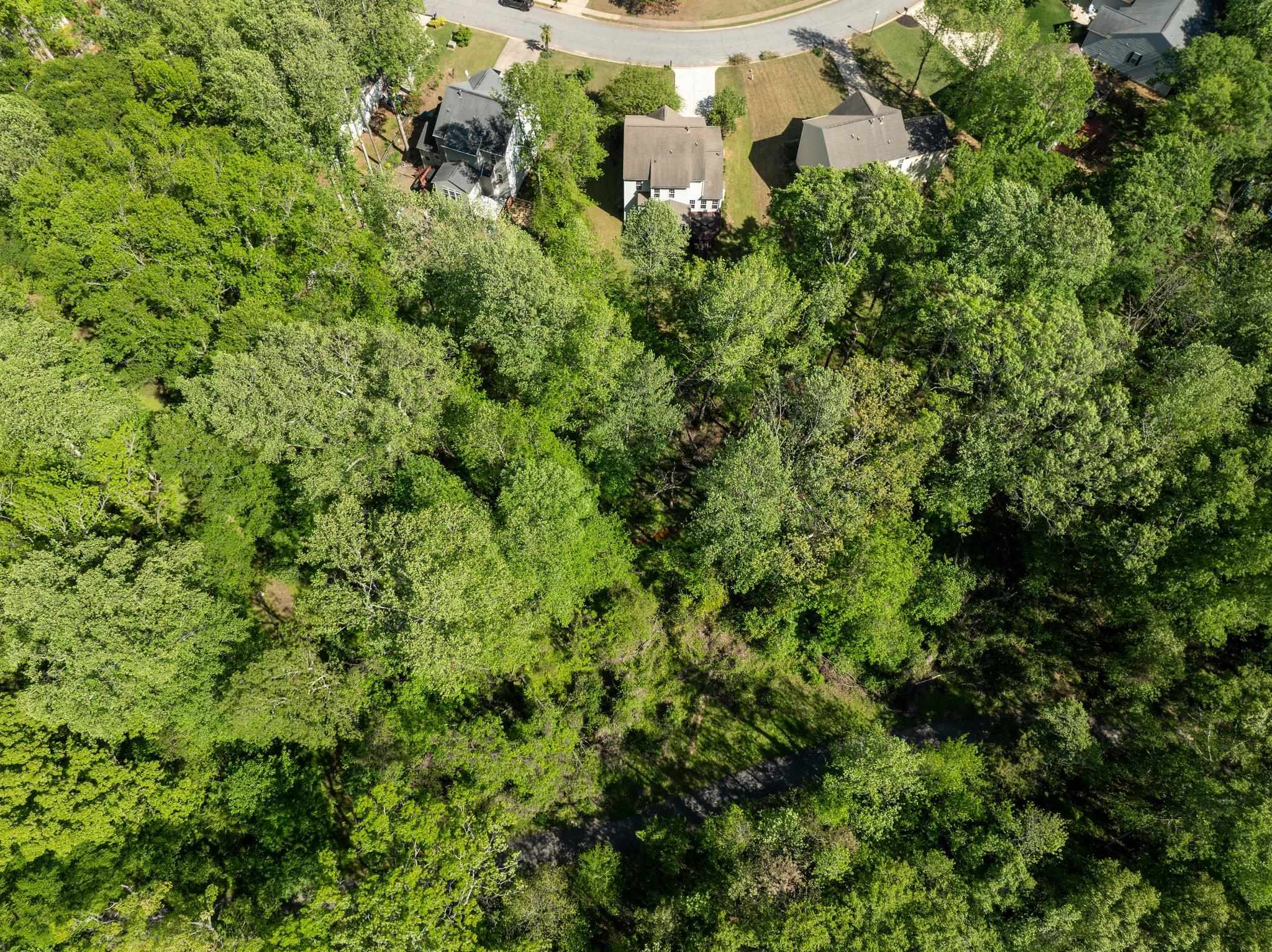513 Scarlet Oak Drive, Fountain Inn, South Carolina image 26