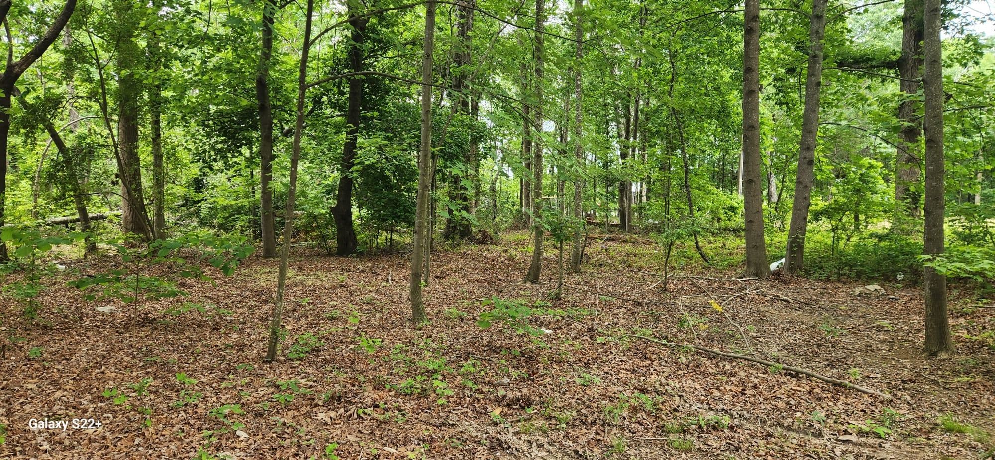 2509 New Cut Rd, Spartanburg, South Carolina image 12
