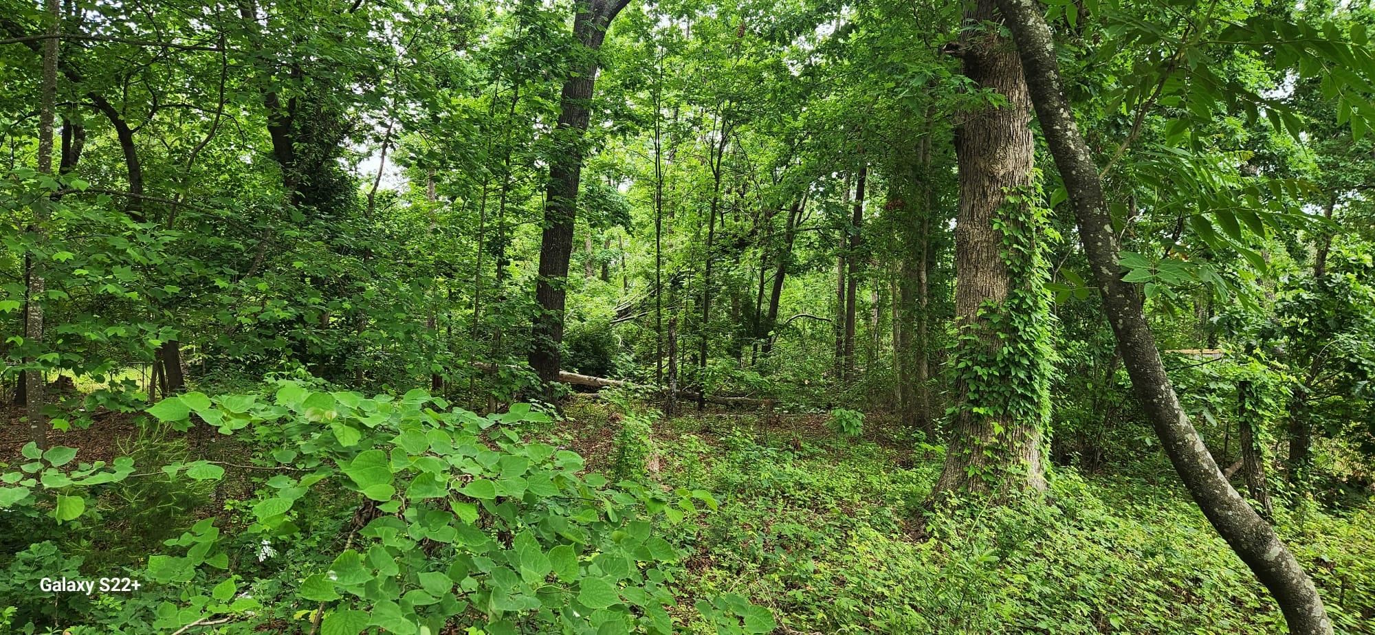 2509 New Cut Rd, Spartanburg, South Carolina image 14