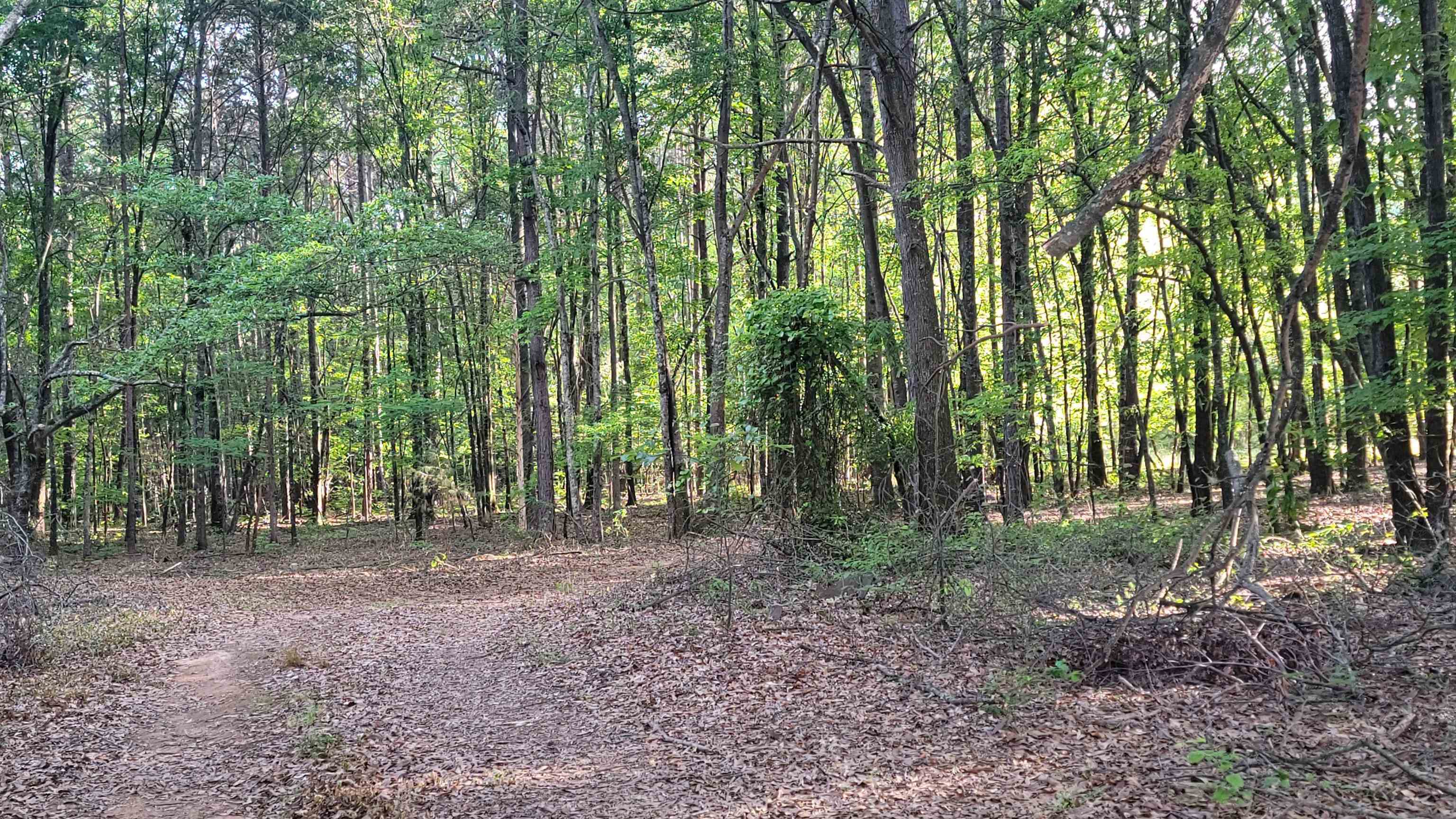 560 Thorn Cove Drive, Chesnee, South Carolina image 2