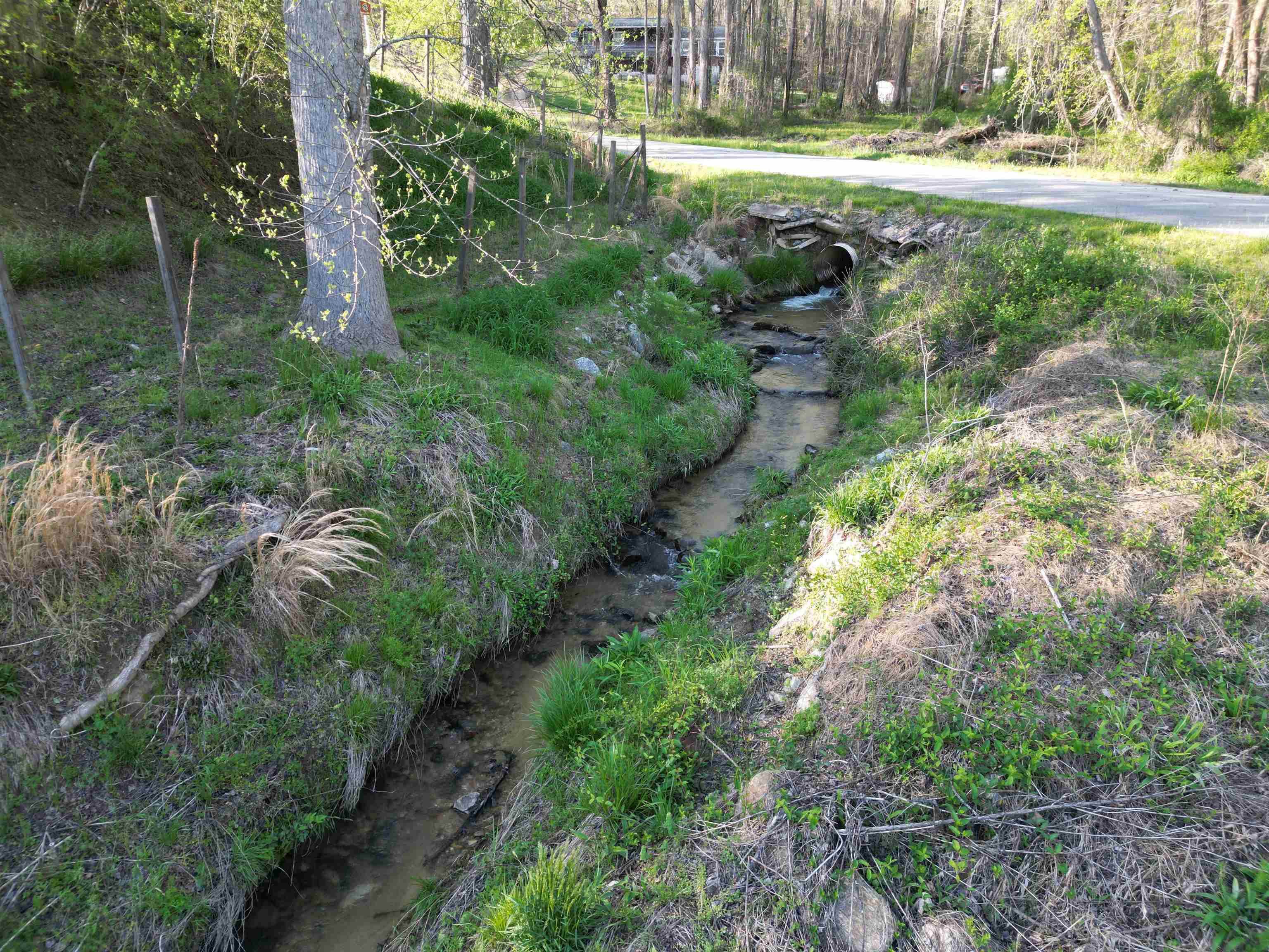 101 Terry Creek Road Rd, Travelers Rest, South Carolina image 13