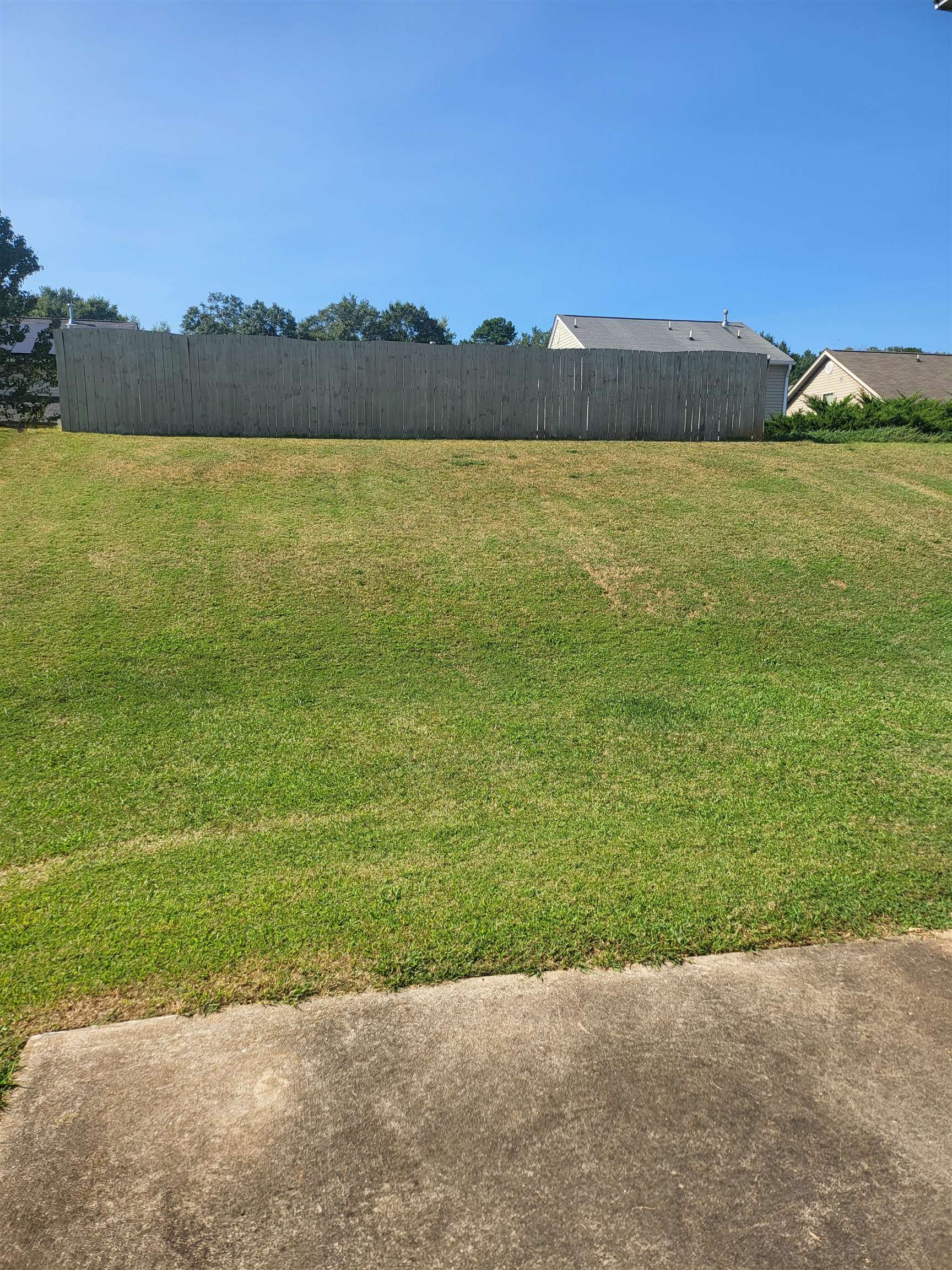359 Edgemont Avenue, Spartanburg, South Carolina image 4