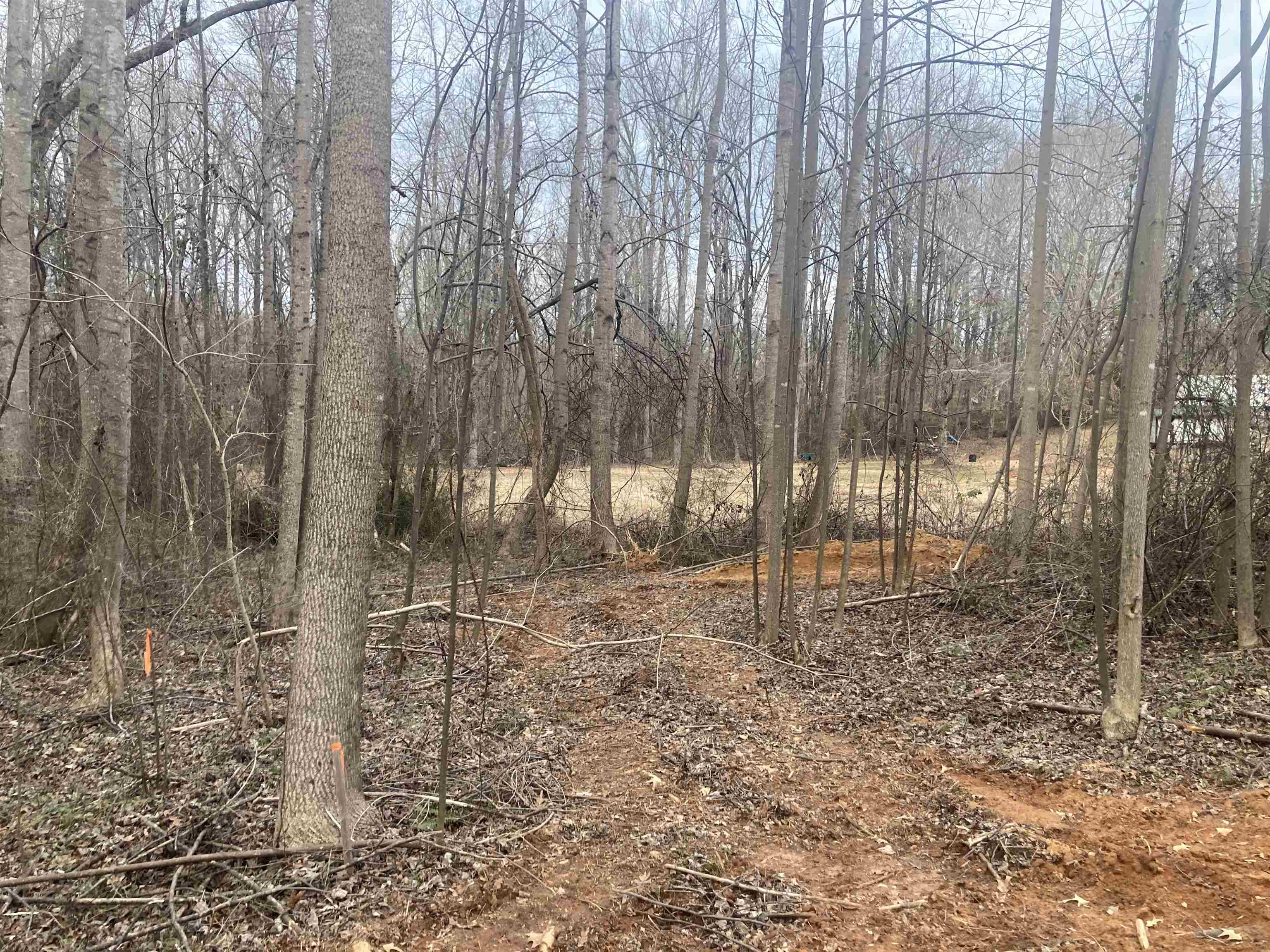 163 Rockingham Road, Duncan, South Carolina image 3