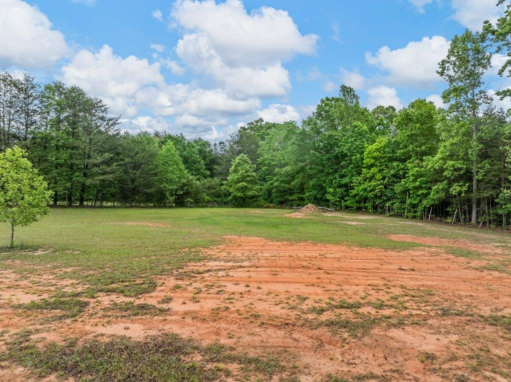 530 Hulon Howard Road, Landrum, South Carolina image 44