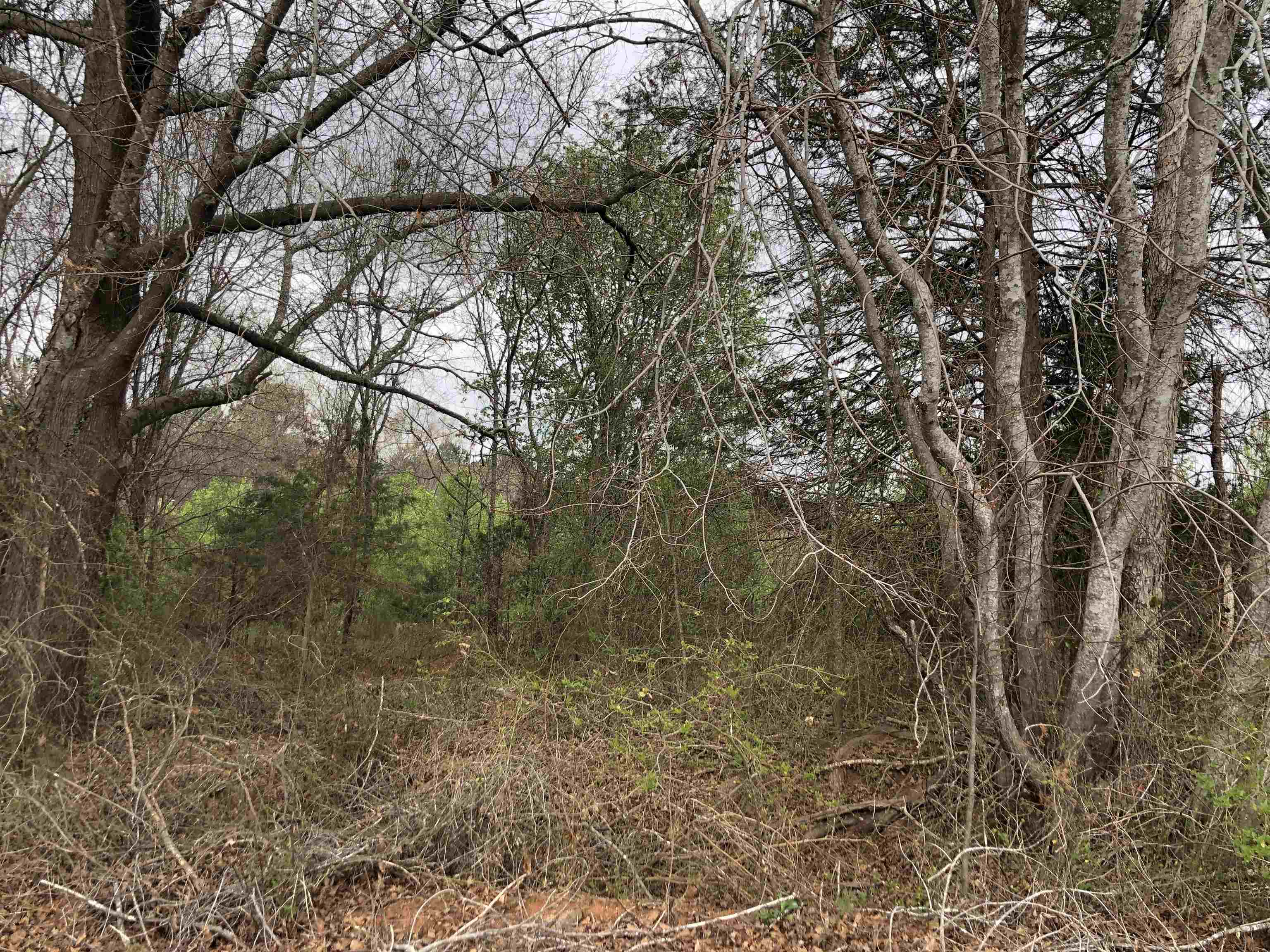 160 Twin Creek Road, Cowpens, South Carolina image 2