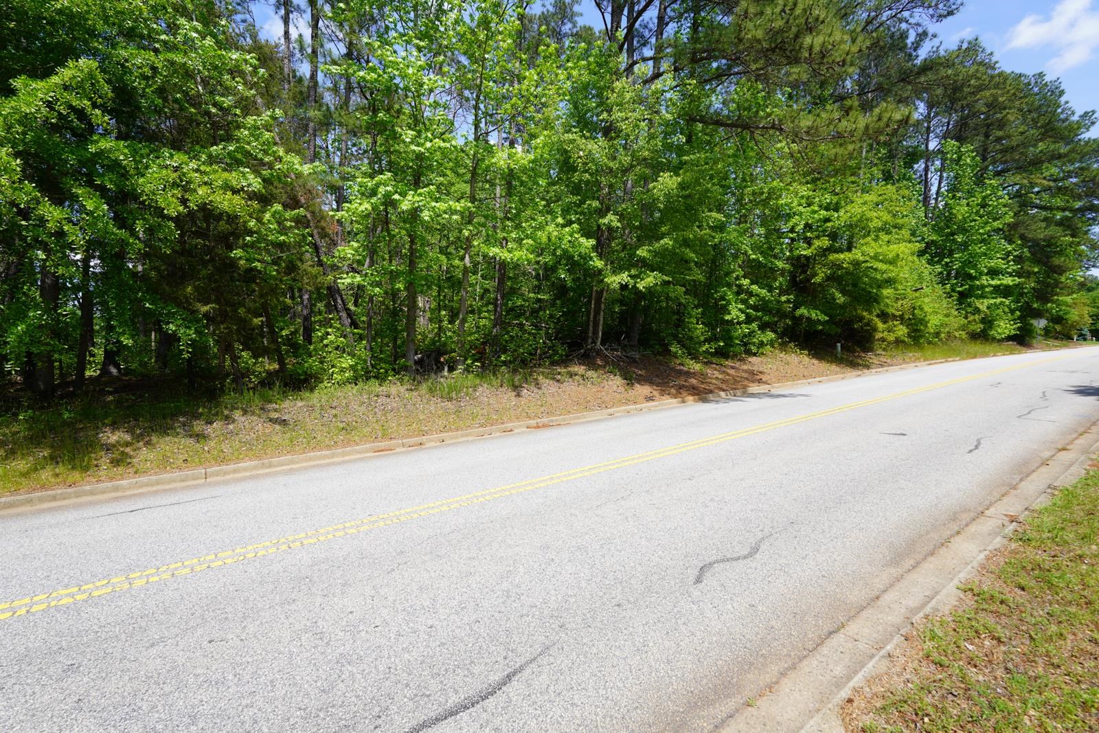 736 Willis Road, Spartanburg, South Carolina image 24