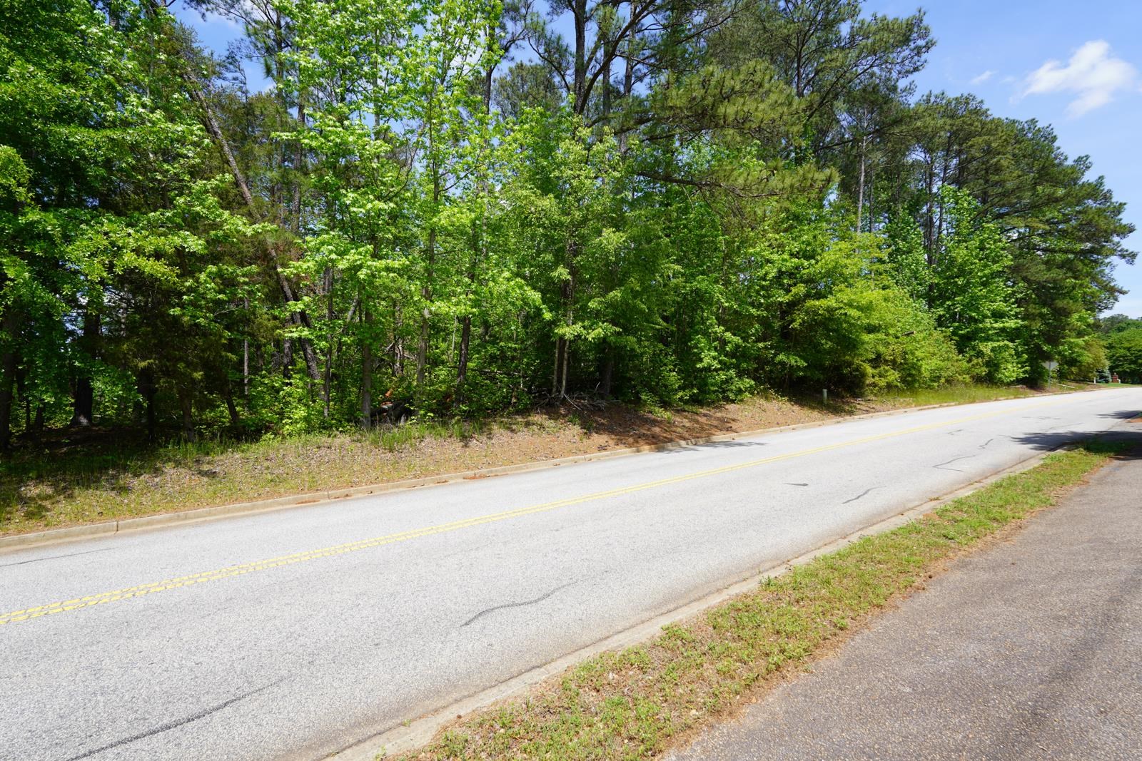 736 Willis Road, Spartanburg, South Carolina image 20