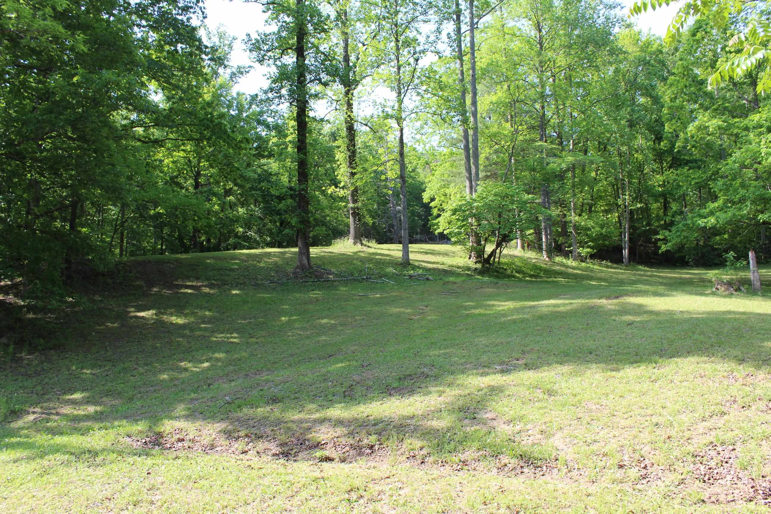 563 Burgess Road, Mill Spring, North Carolina image 27