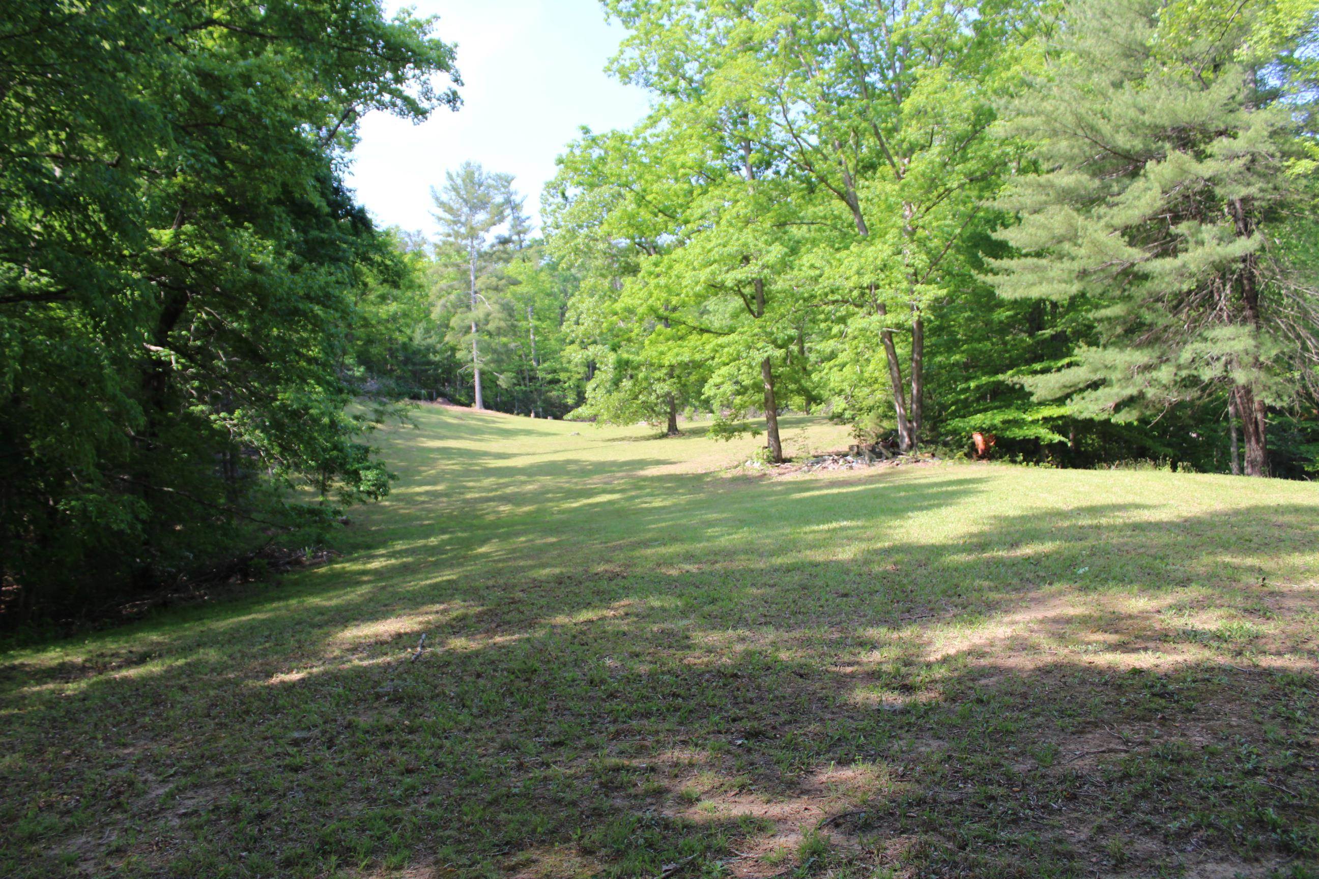 563 Burgess Road, Mill Spring, North Carolina image 29
