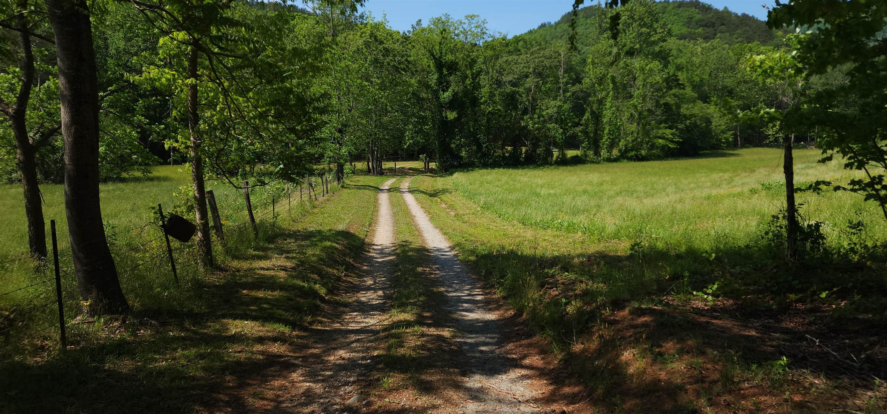 563 Burgess Road, Mill Spring, North Carolina image 13