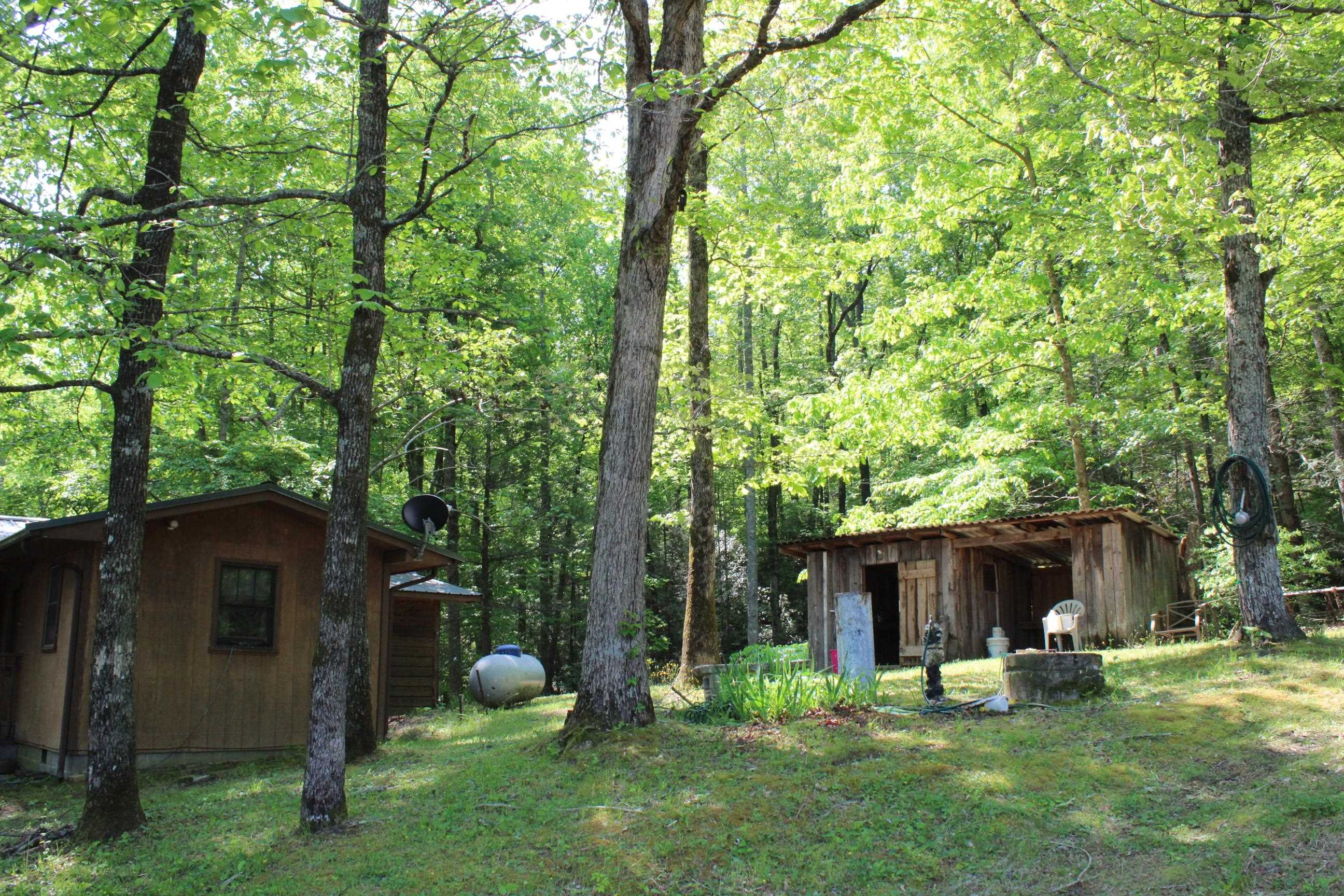 563 Burgess Road, Mill Spring, North Carolina image 16