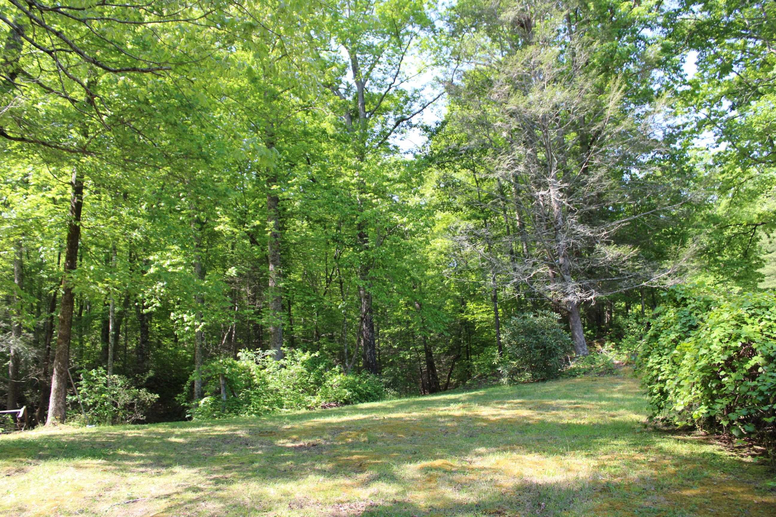 563 Burgess Road, Mill Spring, North Carolina image 17