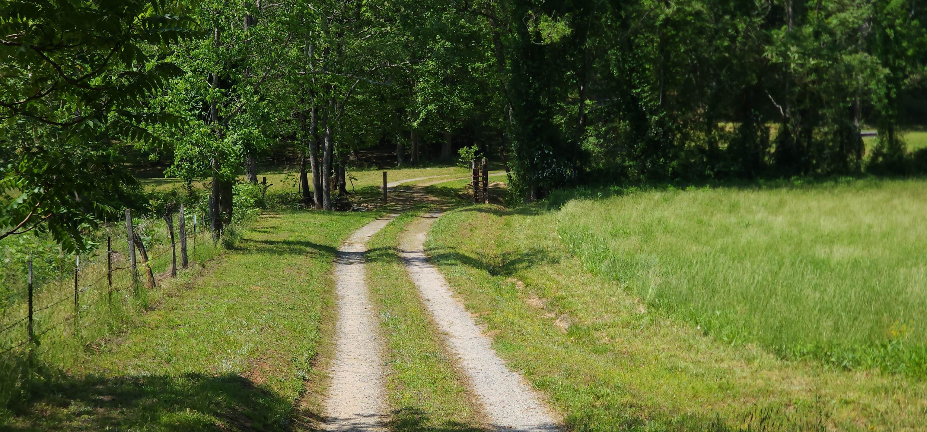 563 Burgess Road, Mill Spring, North Carolina image 14