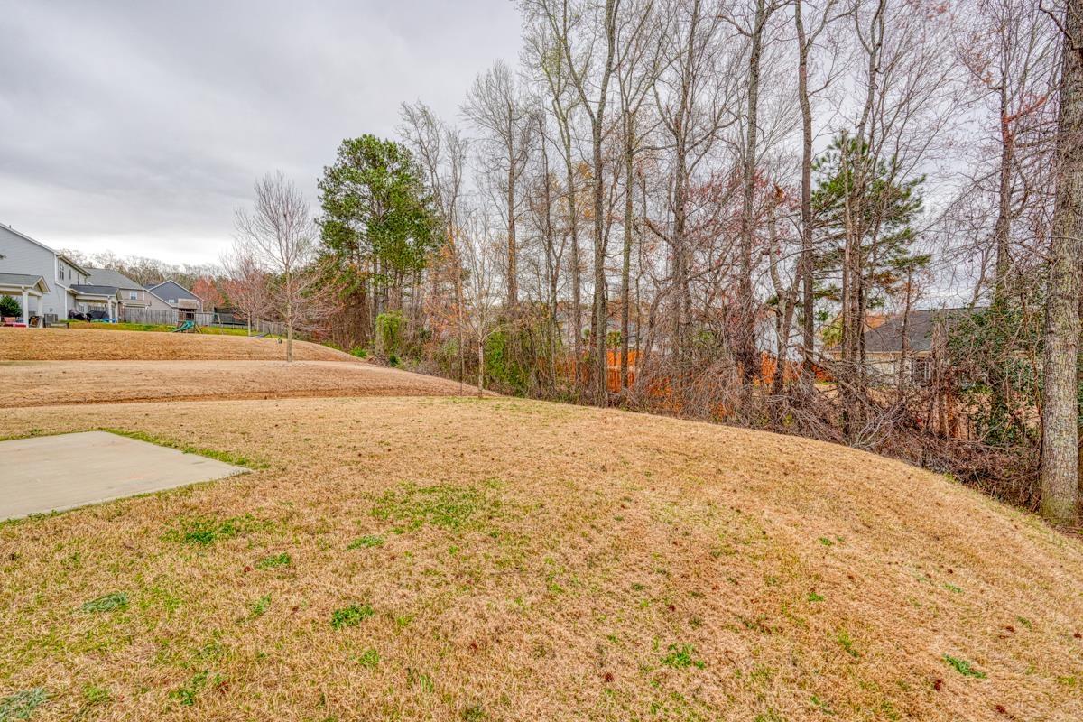 6 Burge Court, Simpsonville, South Carolina image 48