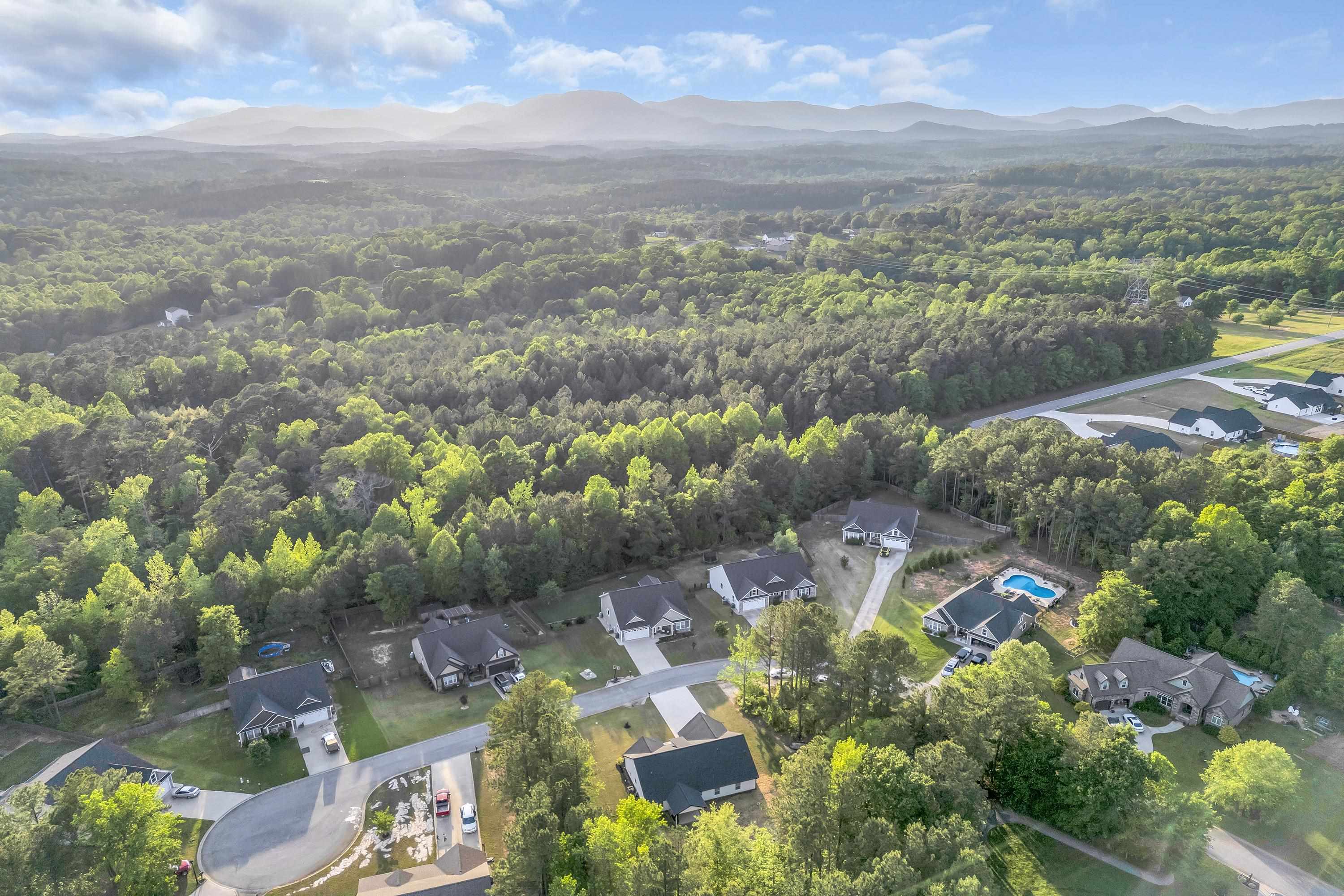 555 Canewood Lane, Campobello, South Carolina image 29