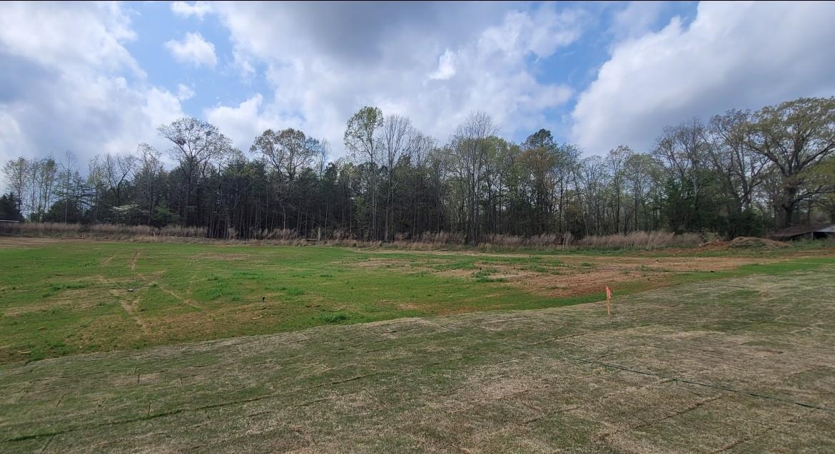 7014 Fairview Falls Drive, Chesnee, South Carolina image 23